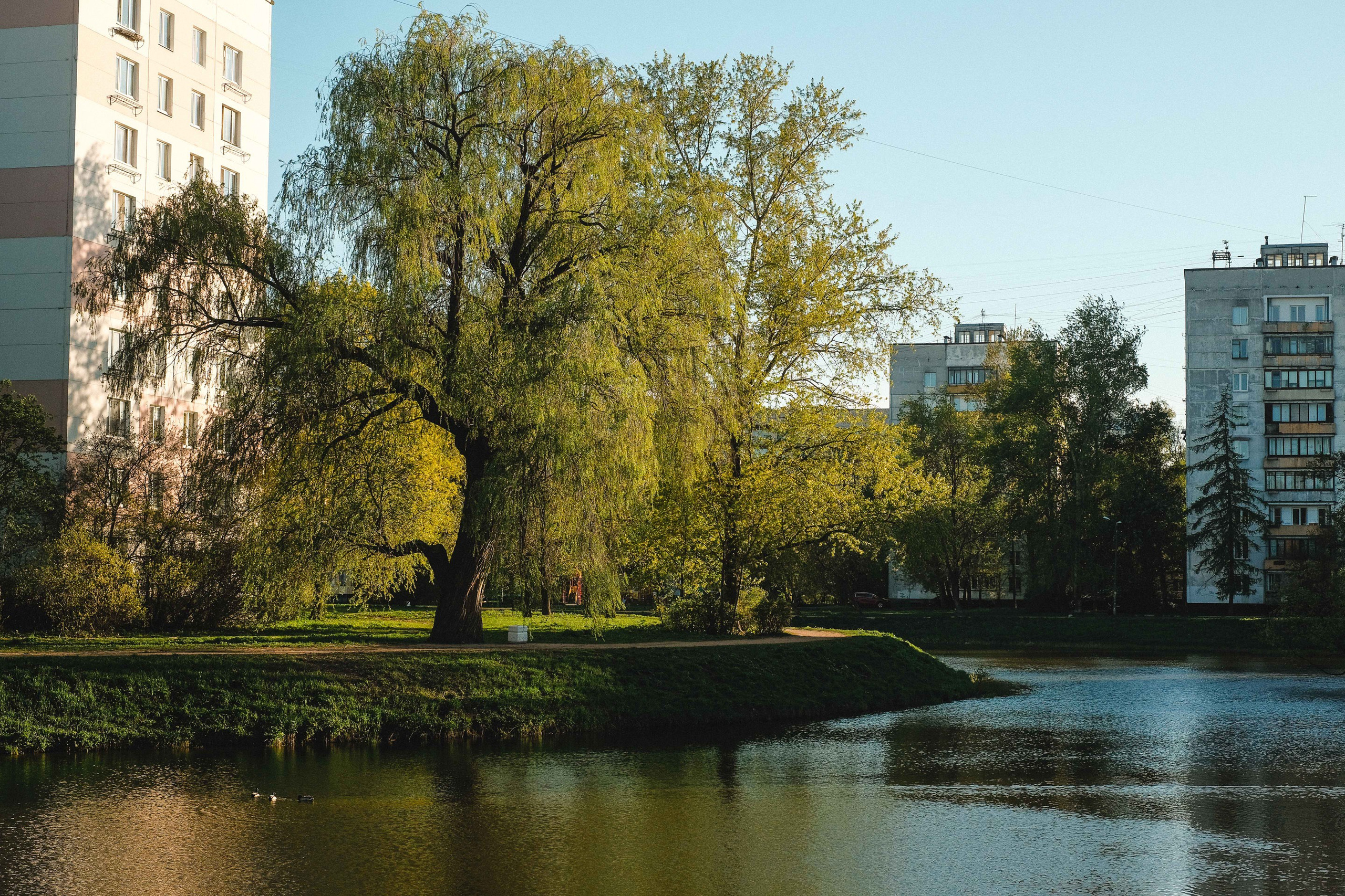 2022.05. Фотограф Алексей Алексеев