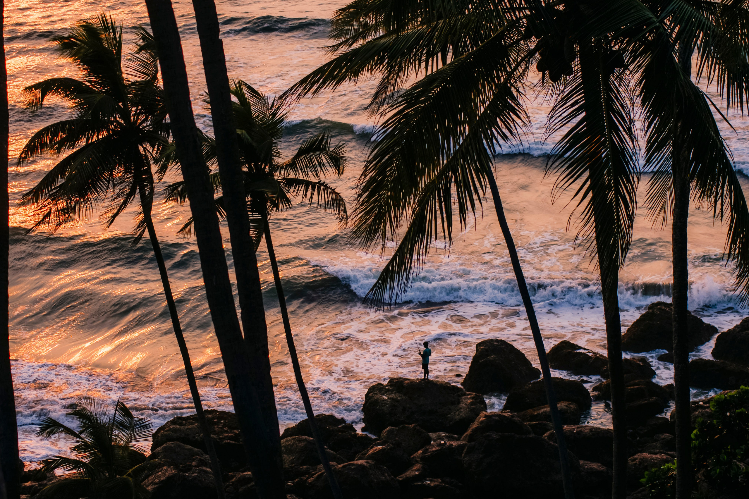 Гоа. индия. Iraogo