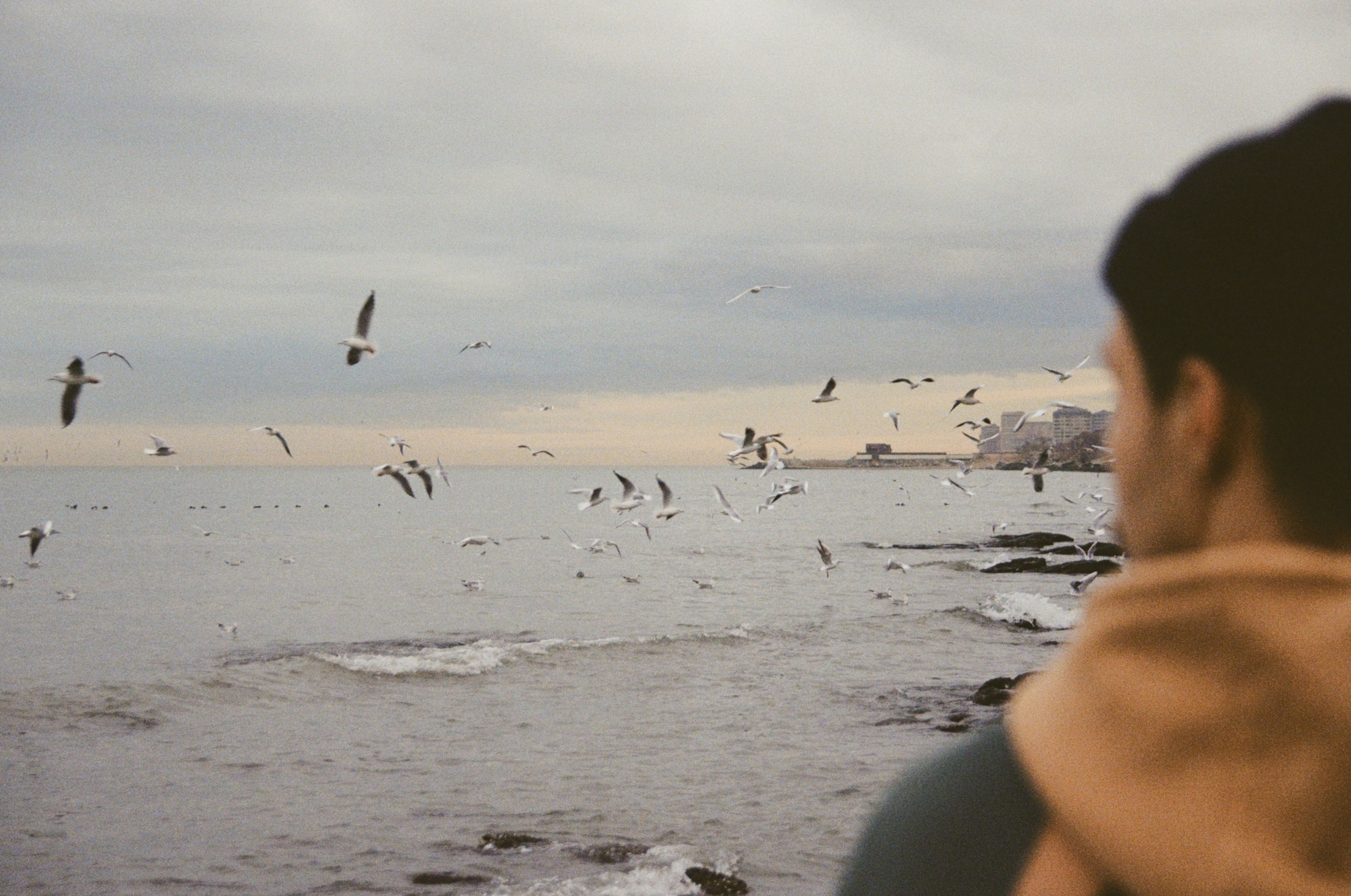 Автор: Кирилл