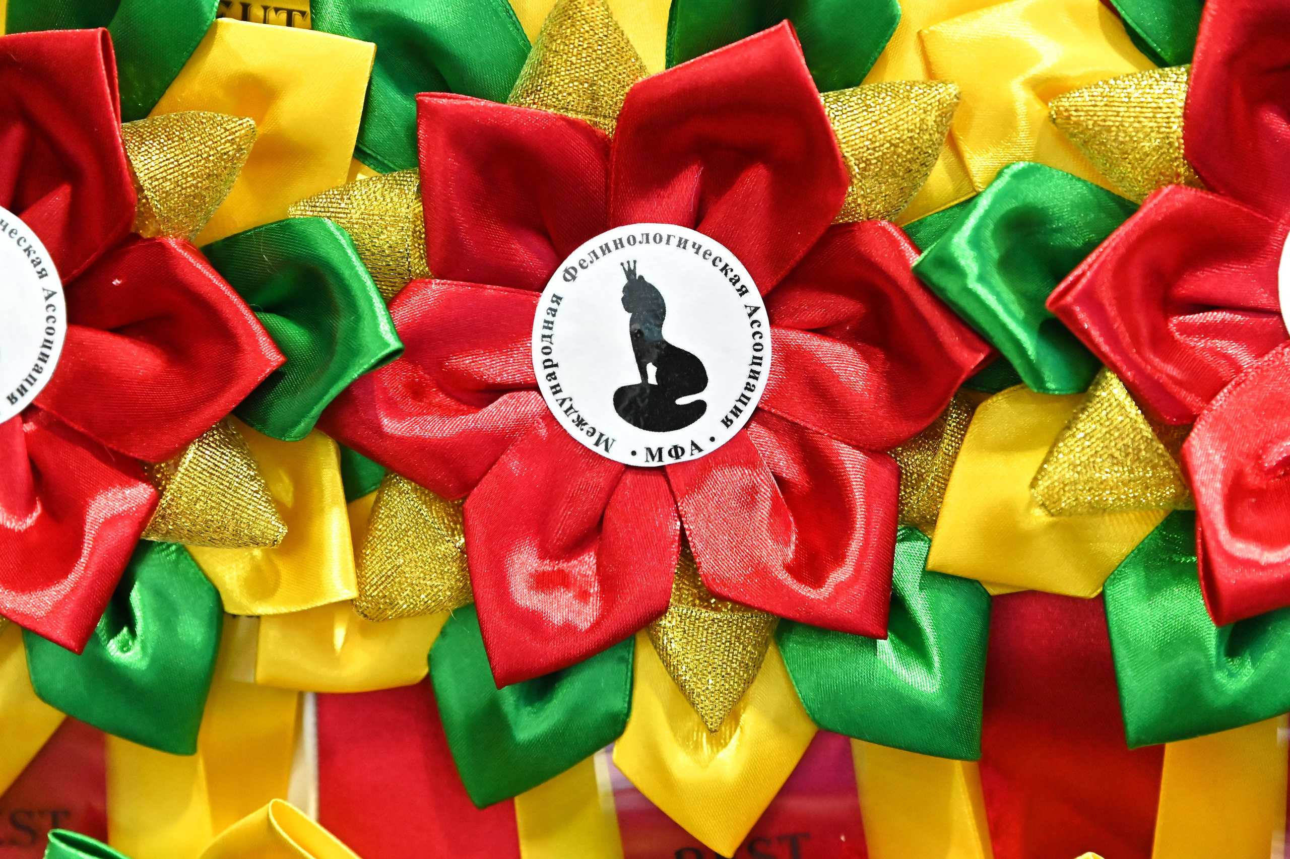 Отзывы. Фотограф анималист Елена Галдина г. Красноярск