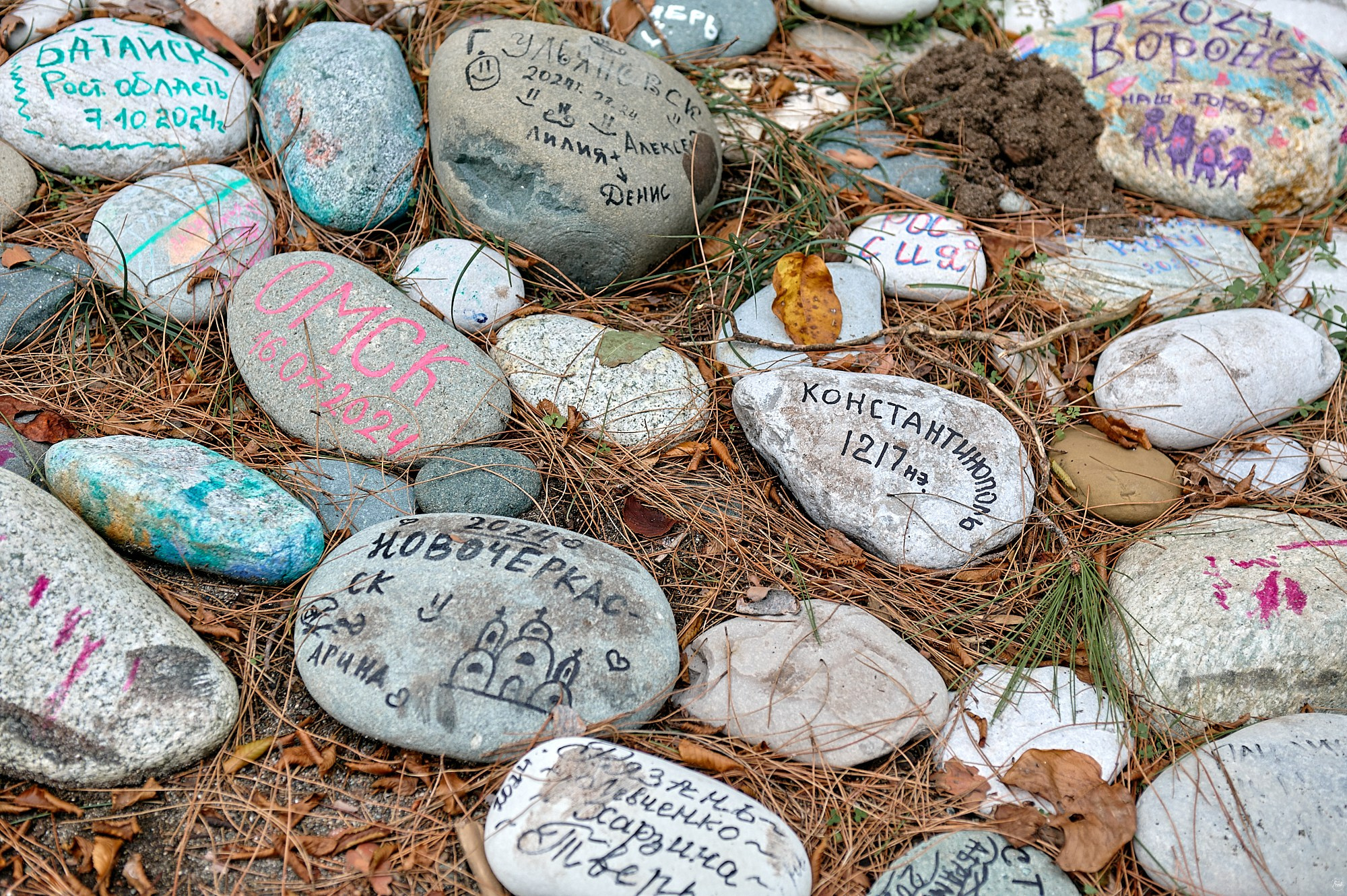 Пицунда, Абхазия. Декабрь 2024. Фотографии отовсюду и обо всем