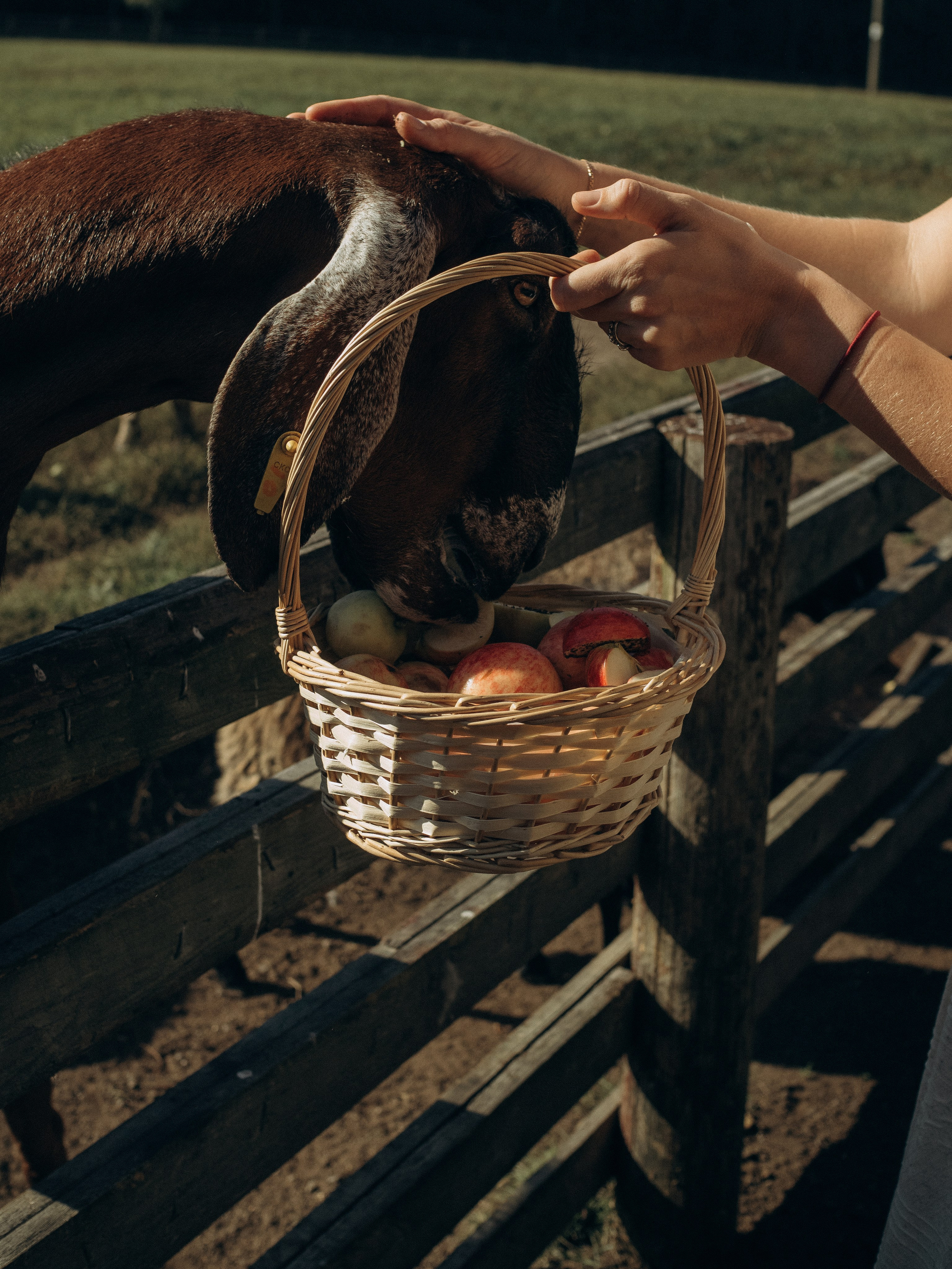 Fam2. Фотограф в Сортавала Карина Буглакова