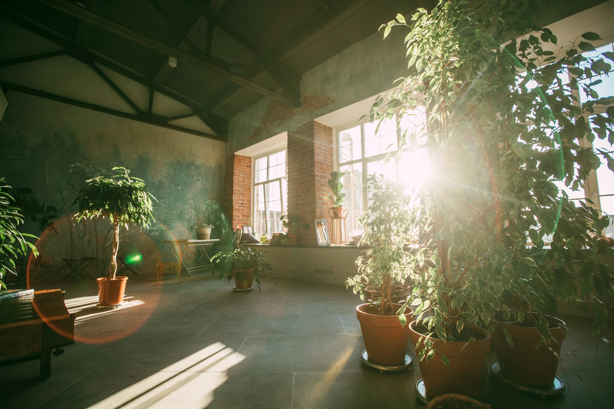 Зал 3.САД. Фотограф Герман Локоцкий, семейные фотосессии в Санкт-Петербурге