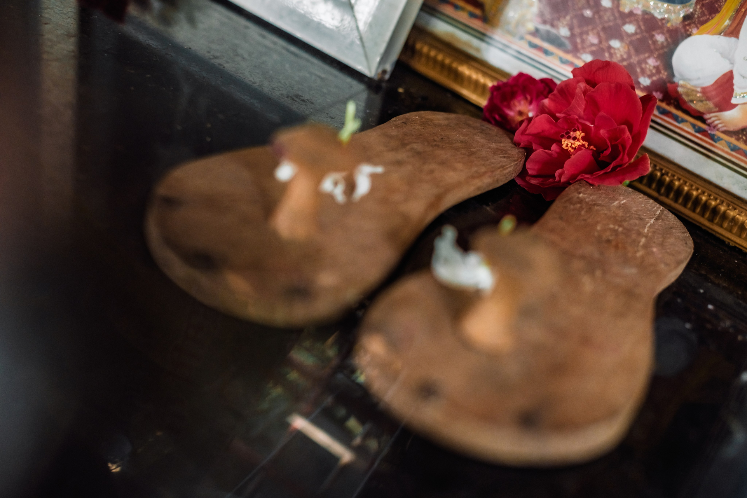 Devraha baba ji ashram life 2025. Mariam Bagdasaryan