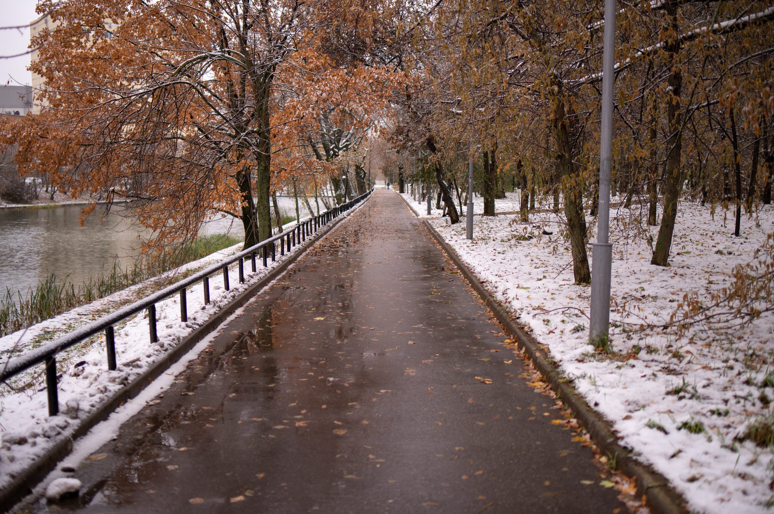 20231030 Тест Tamron SP 35 mm F/1.8. Дмитрий Ремизов. Фотография, как хобби