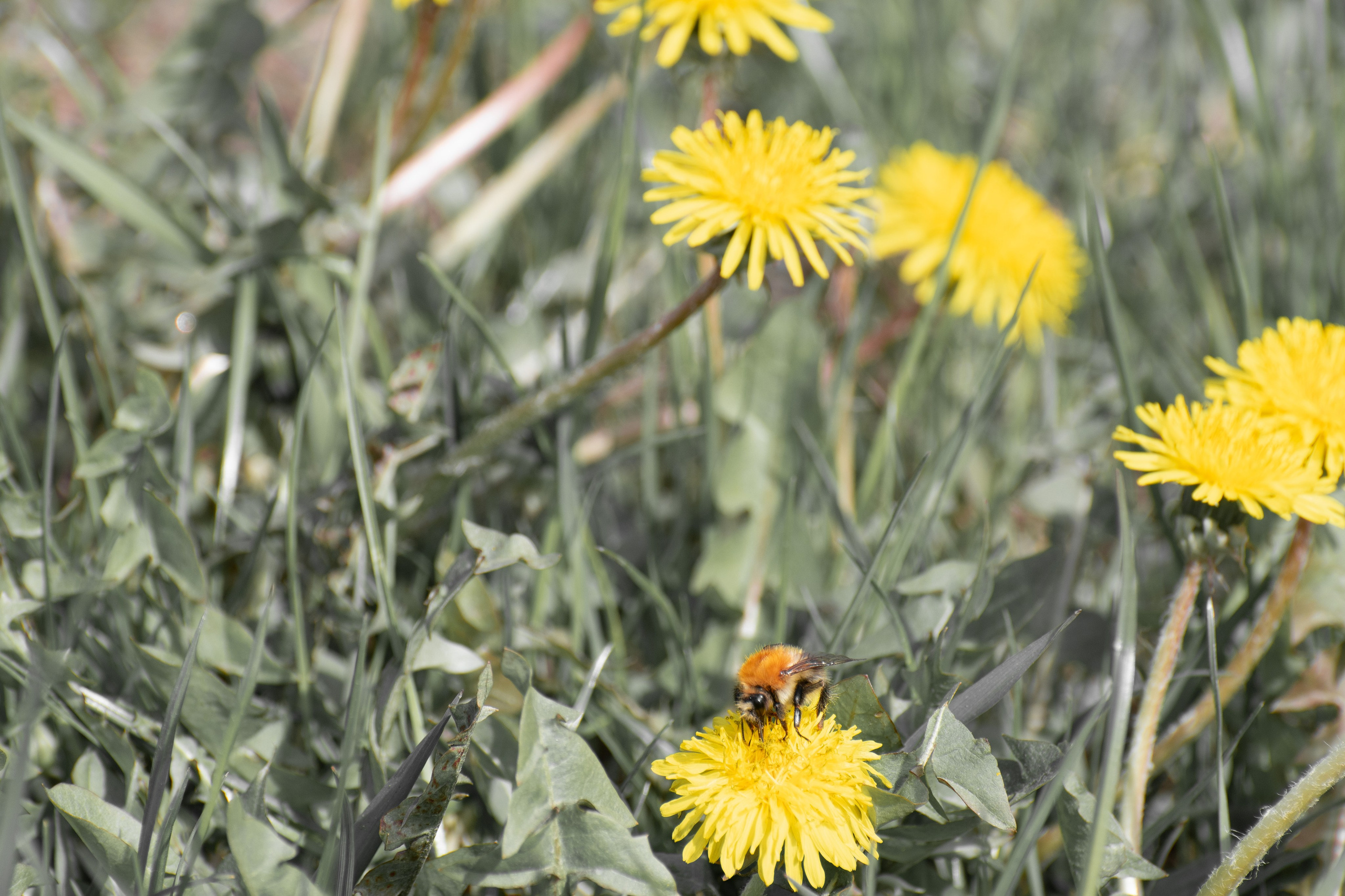 20220502 Центр. Дмитрий Ремизов. Фотография, как хобби