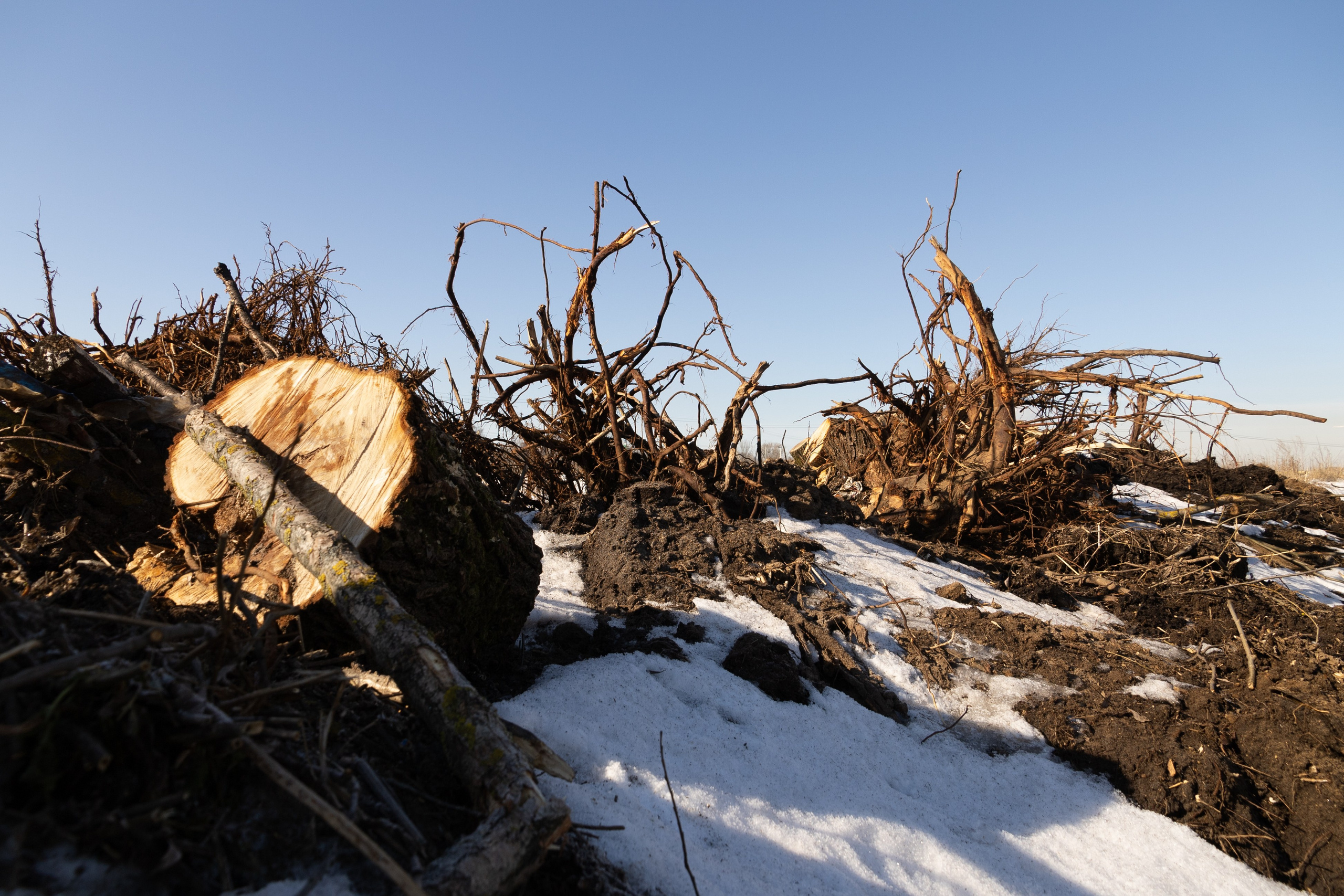 Я здесь живу. DASHA KALNINA