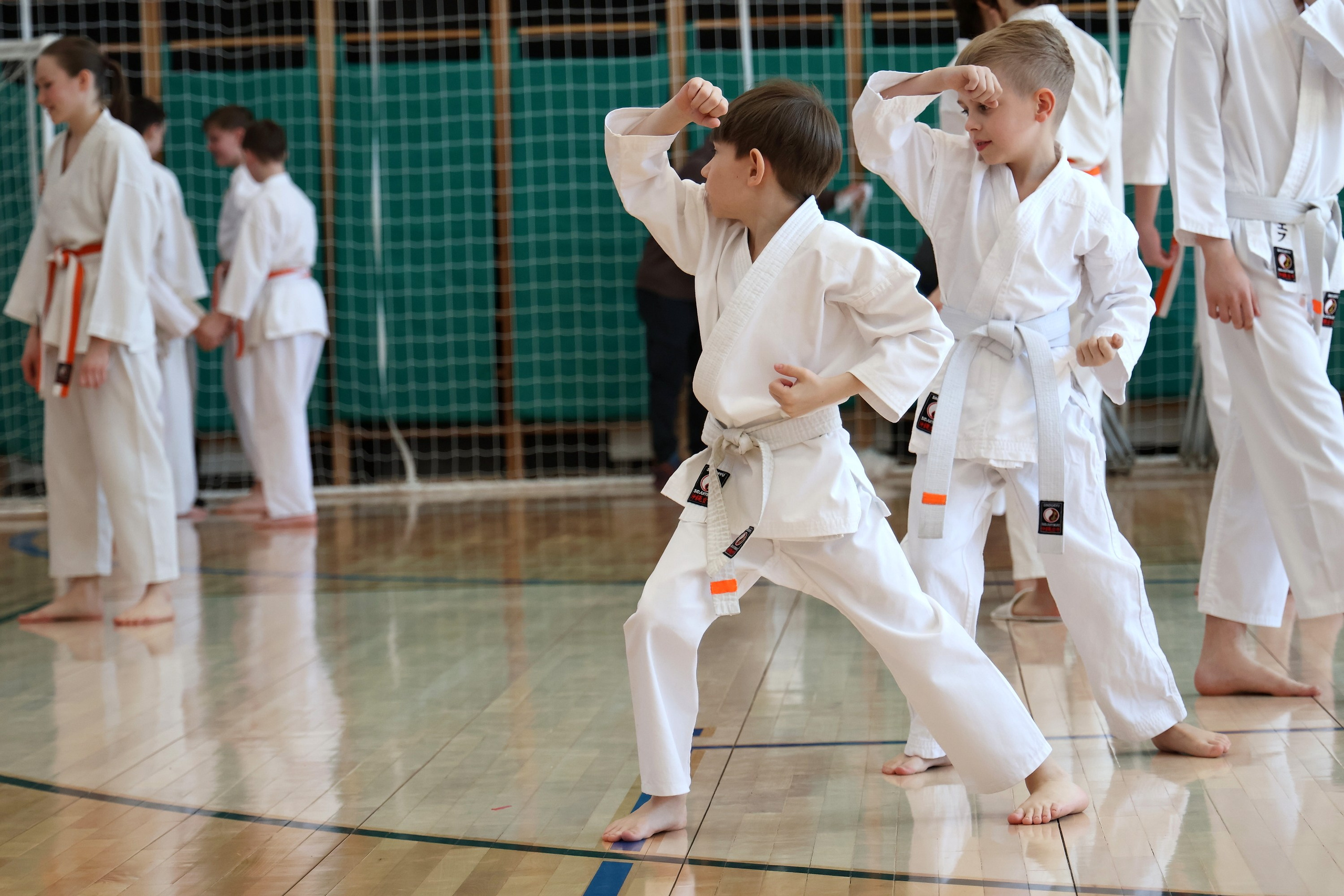 Единоборства. Спортивный и репортажный фотограф Ермакова Светлана