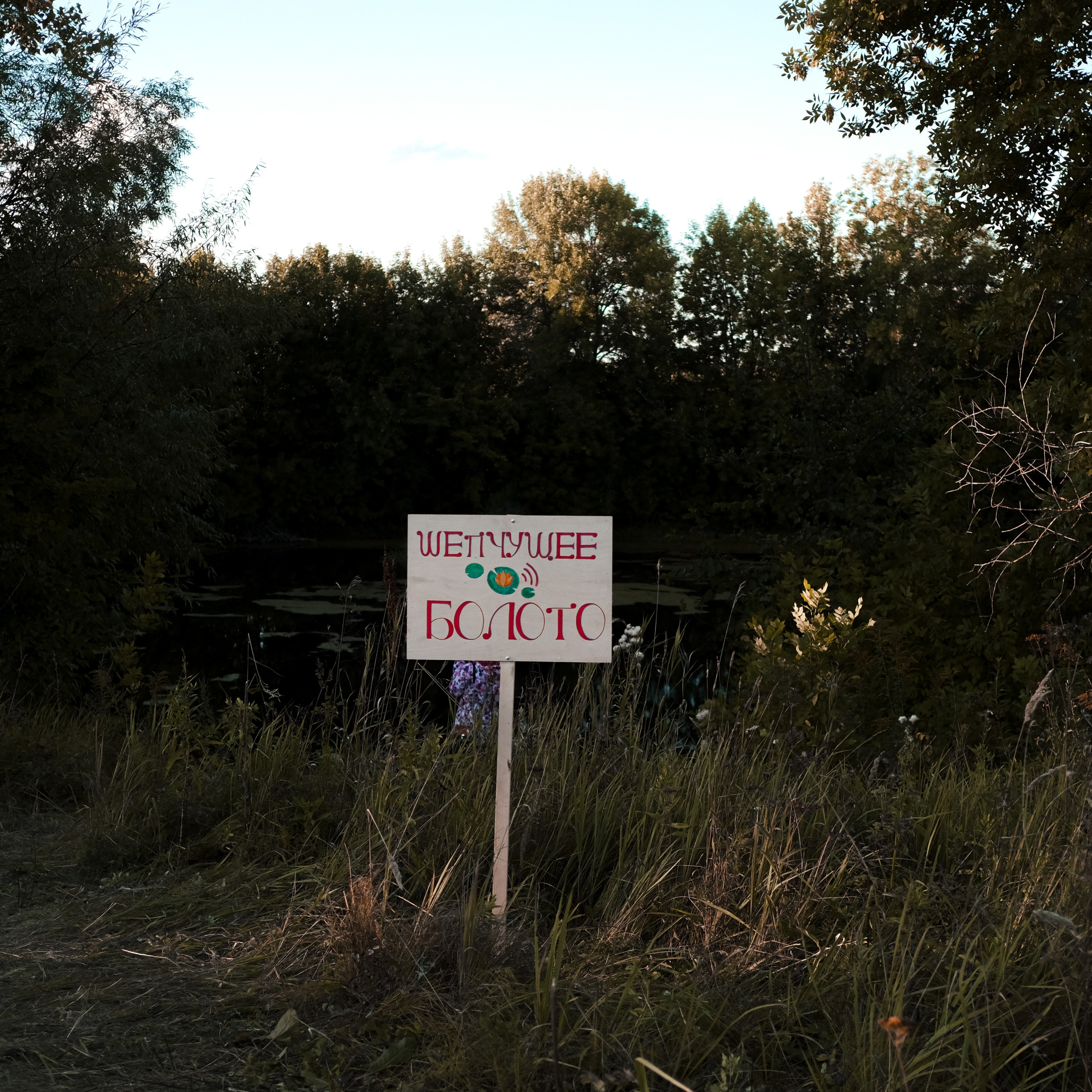 Эко-фестиваль АртЛуга 2022. LIYALEE PHOTO