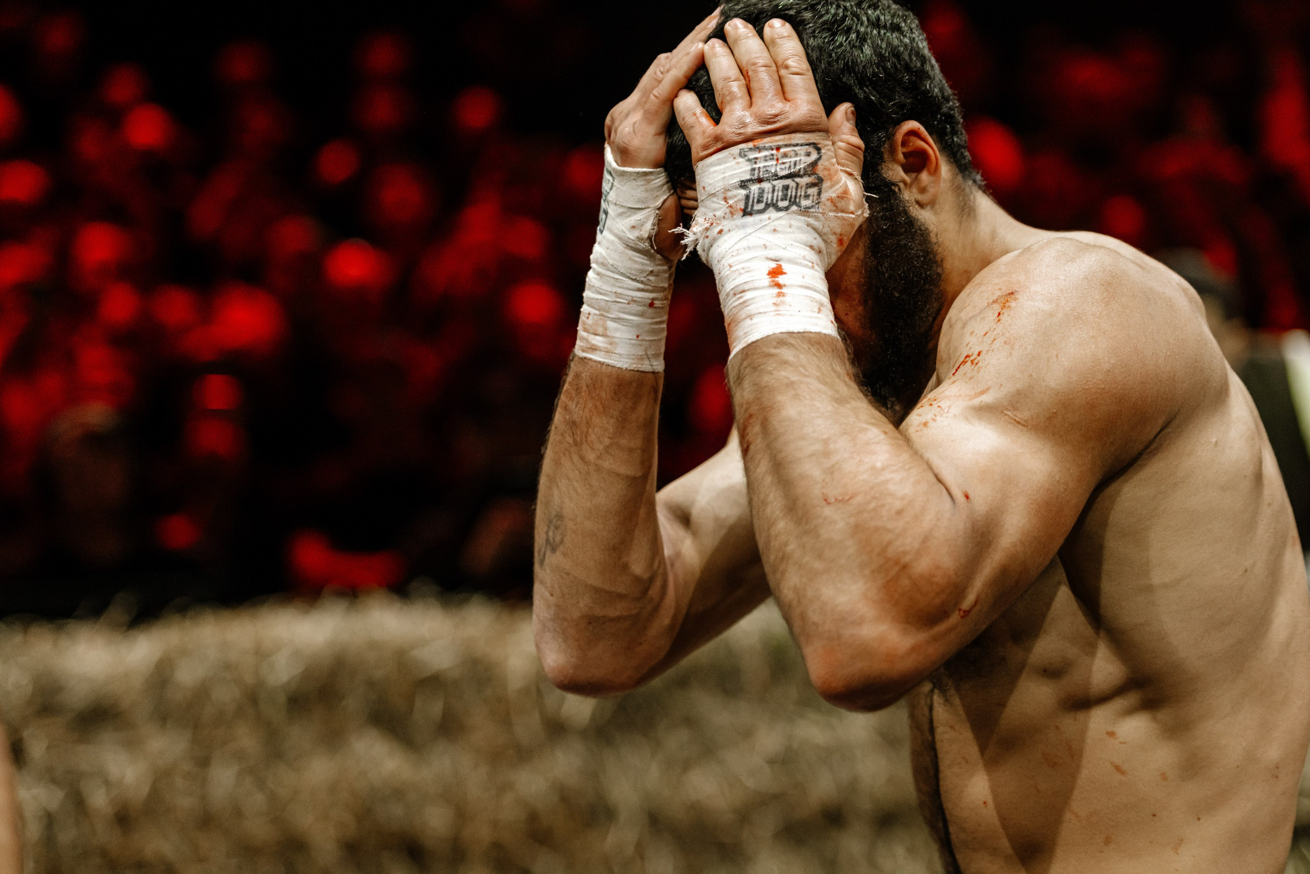 TOP DOG. Максим Комаров — Профессиональный фотограф