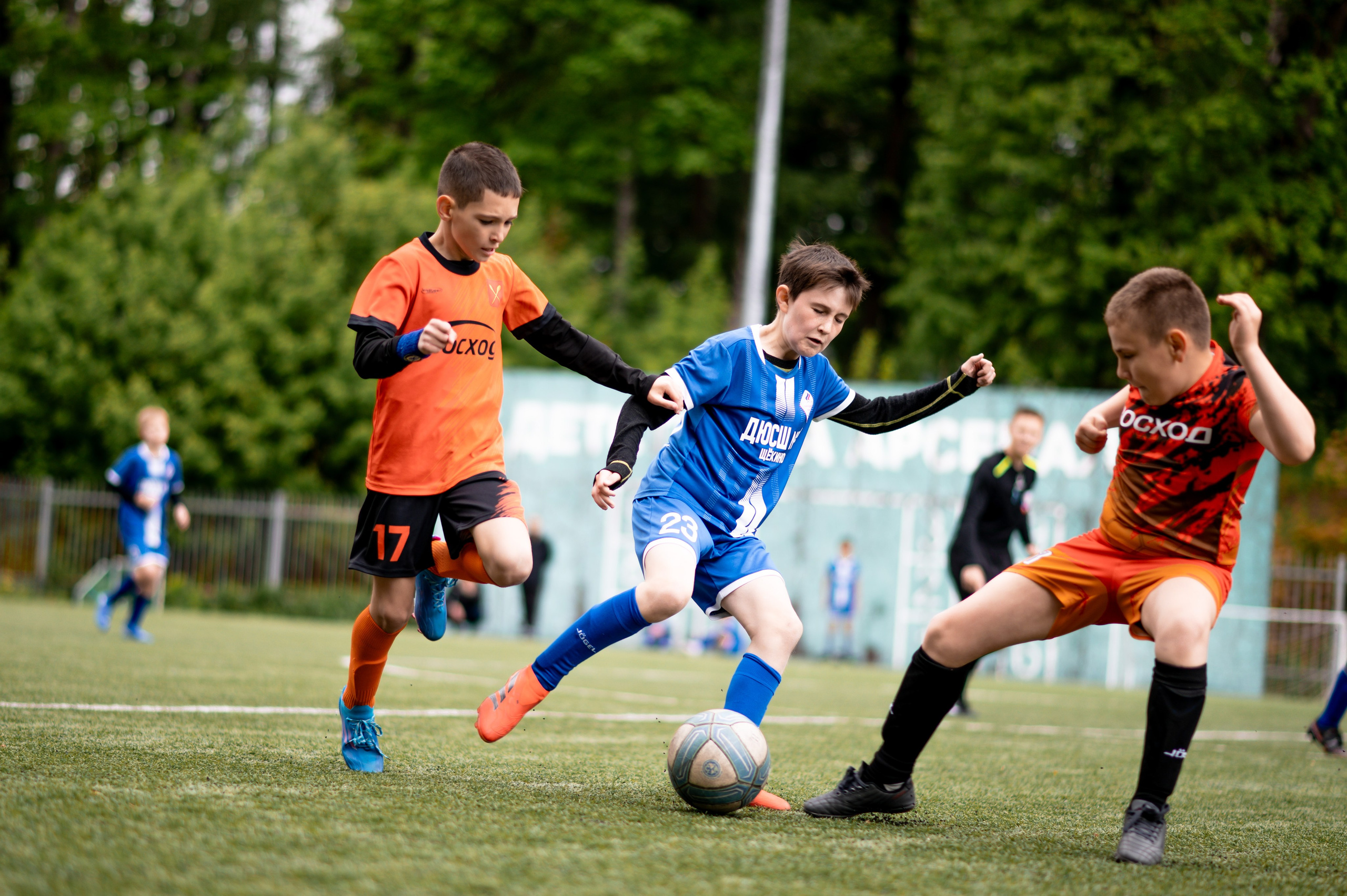 Локобол 2025. Спортивный фотограф в Туле и Тульской области. Файсханова Фото Спорт