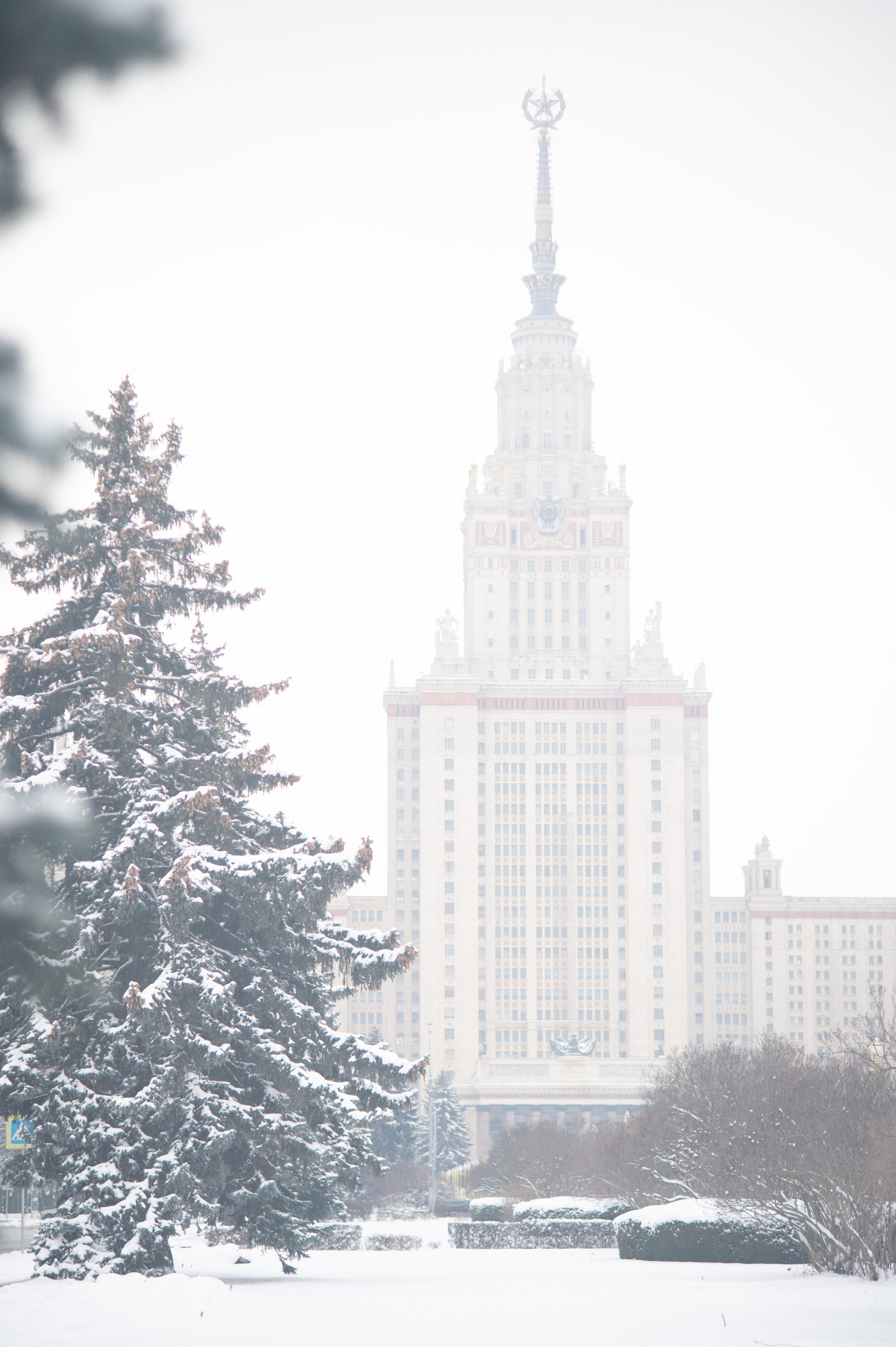 20231126 Смотровая. Дмитрий Ремизов. Фотография, как хобби