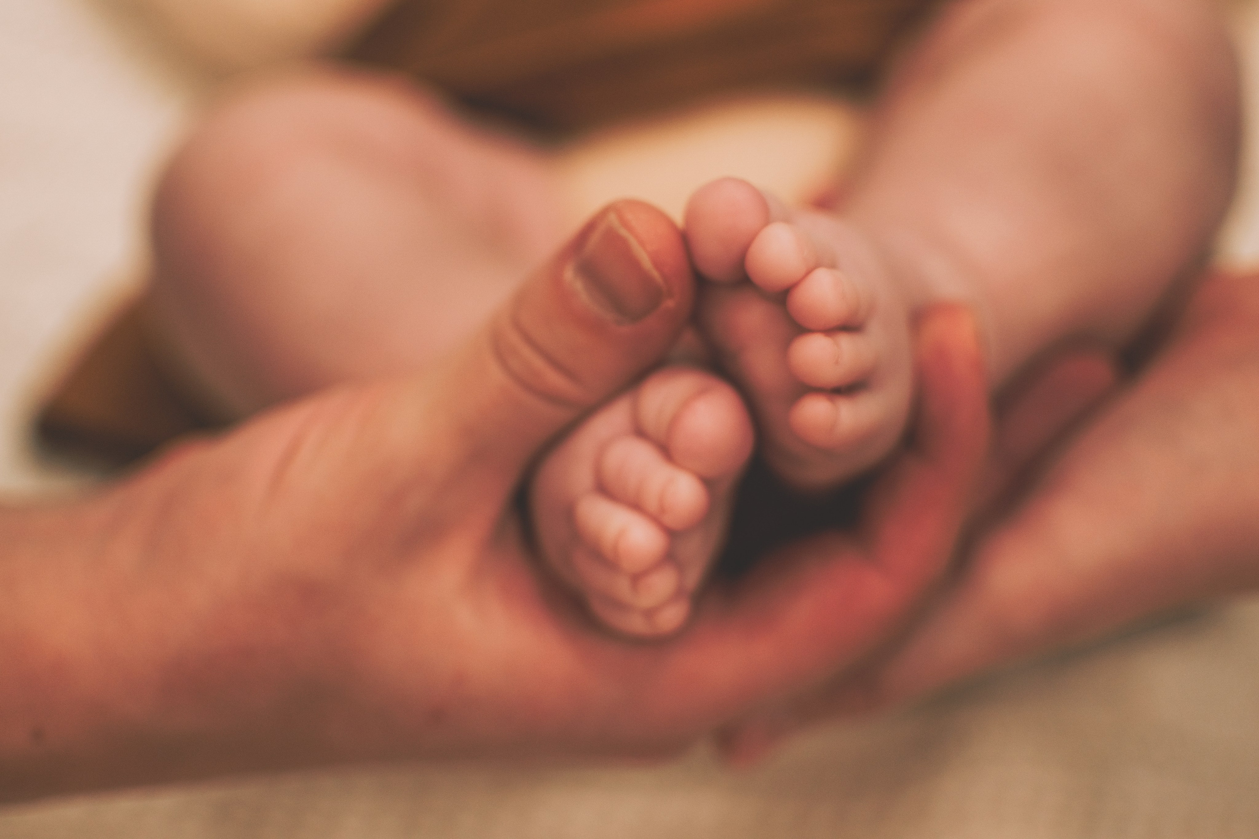 Семейная фотоистория. Семейный и свадебный фотограф Губкинский и Ставрополь