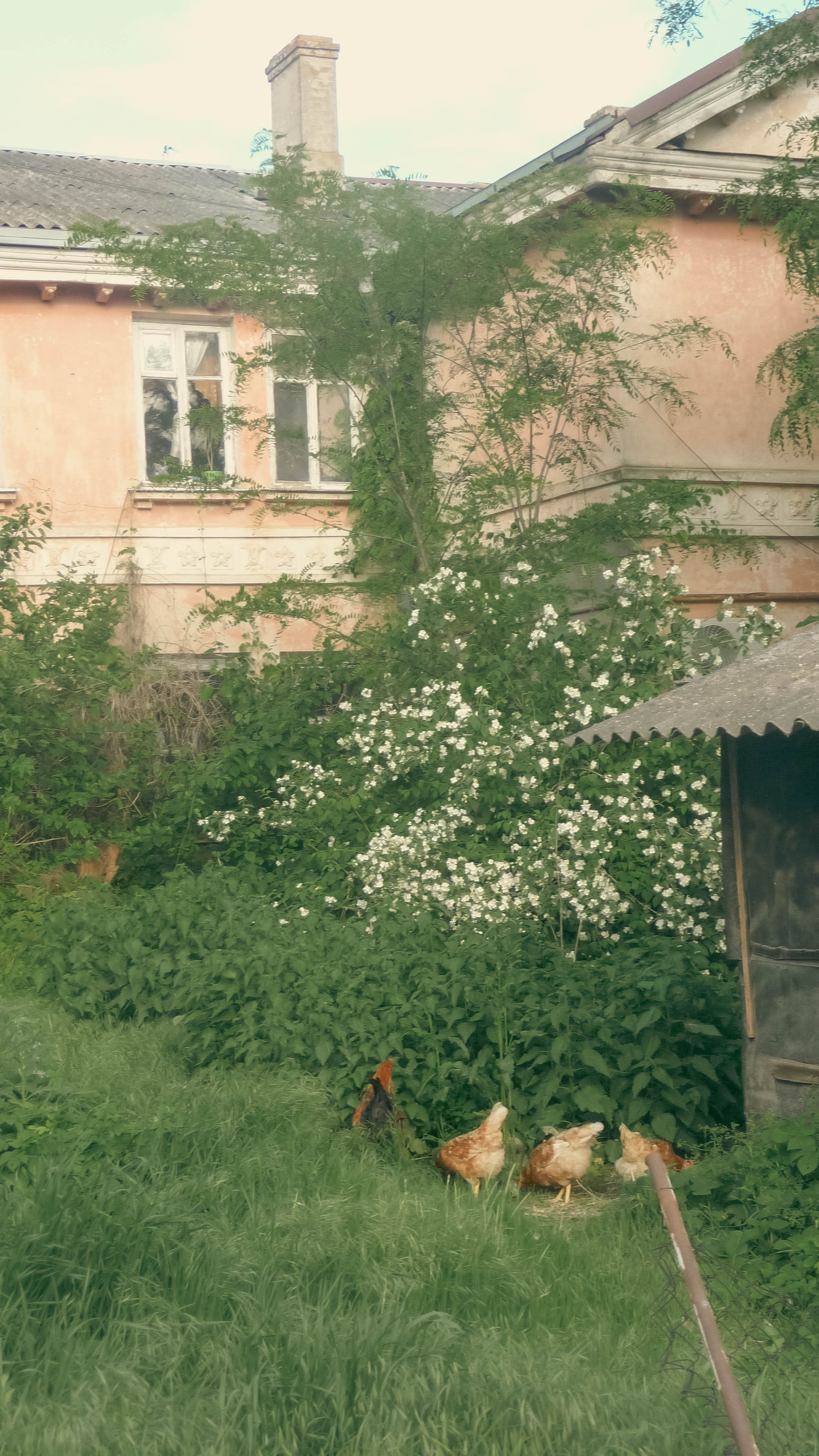 Майская Кубань. Фотограф Анастасия Лощакова в Москве