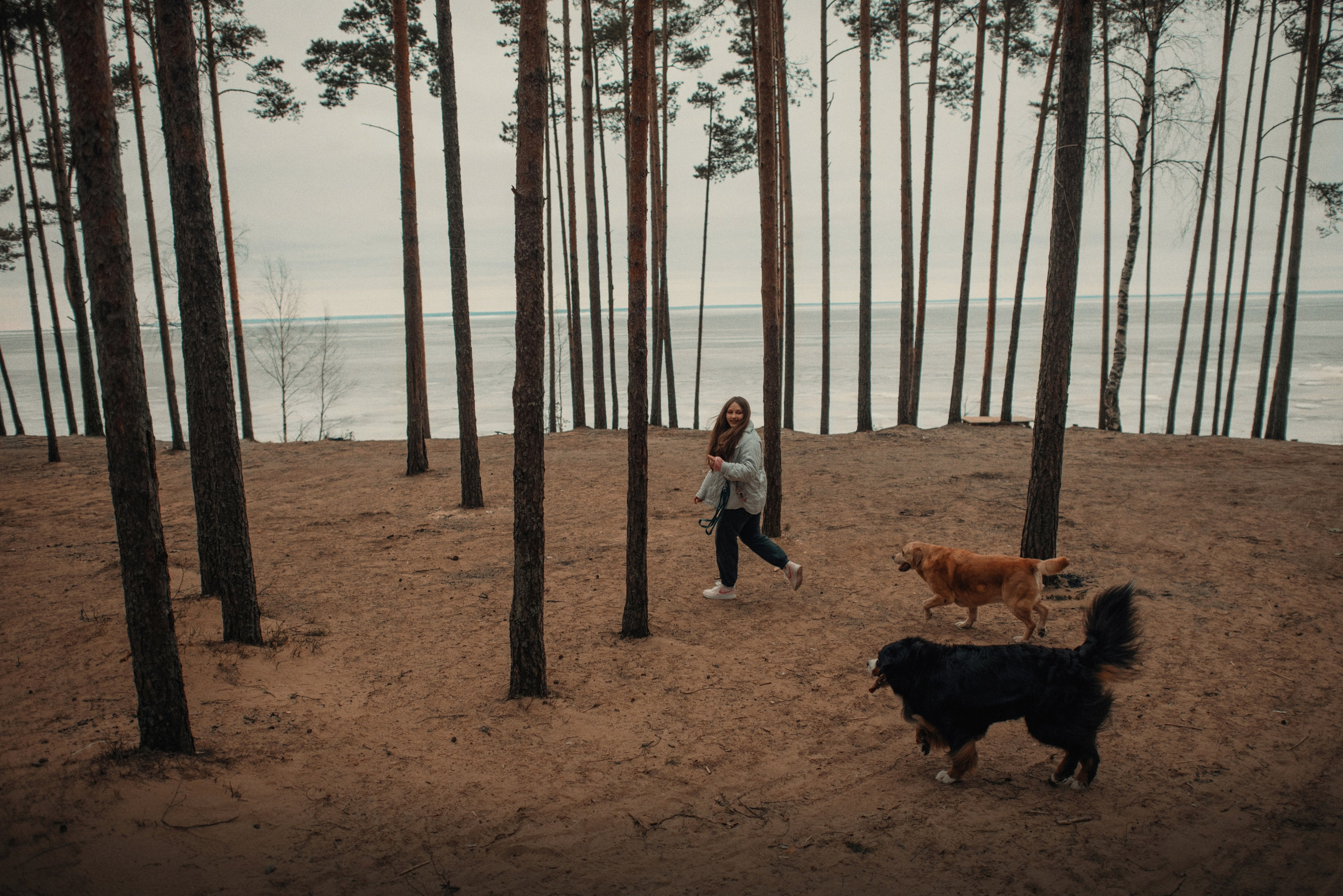 Прогулка: берн Пума, Фрэнк и Юля в Питере. Портфолио