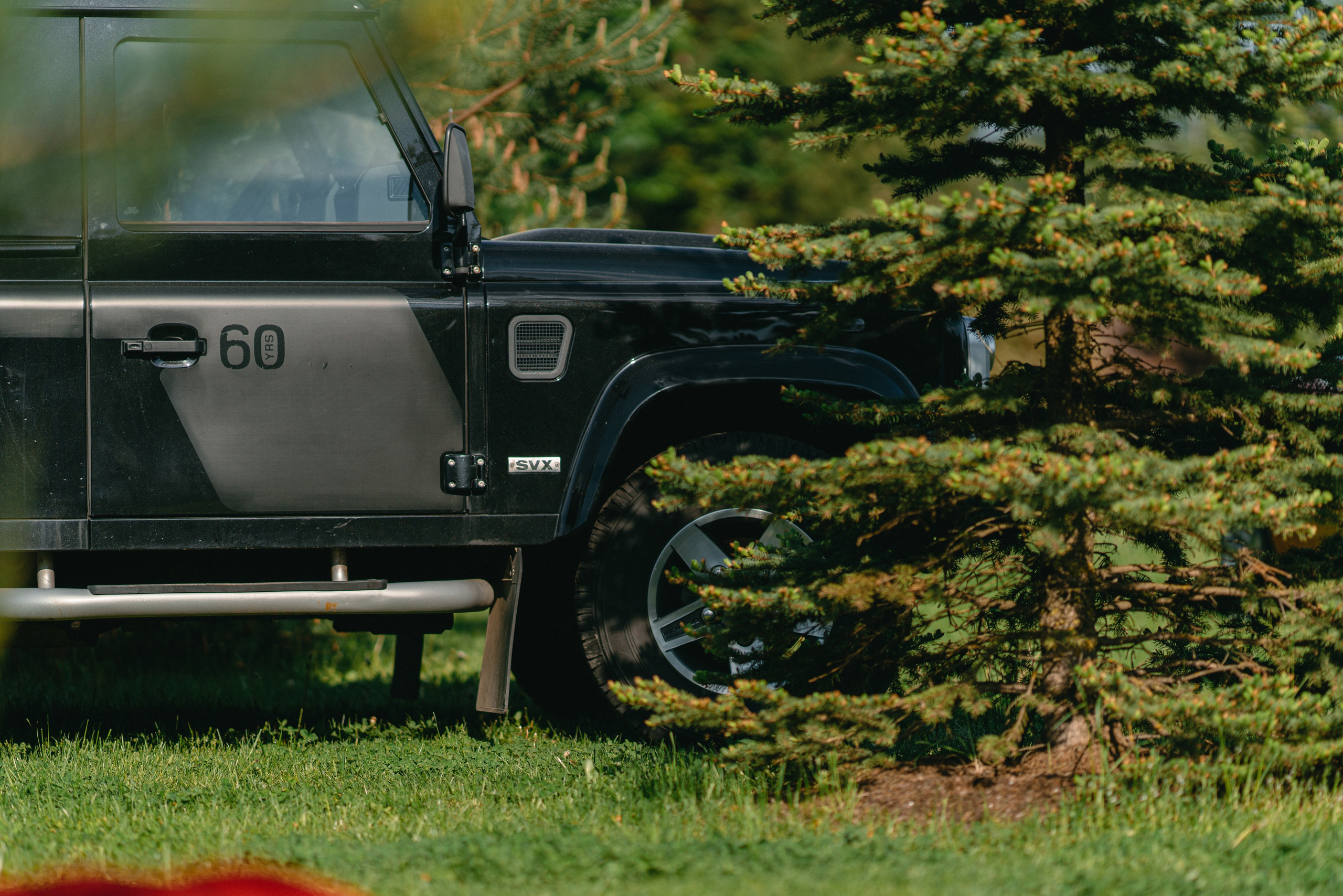 Open season 2025. Жуков Илья  свадебный фотограф в Москве