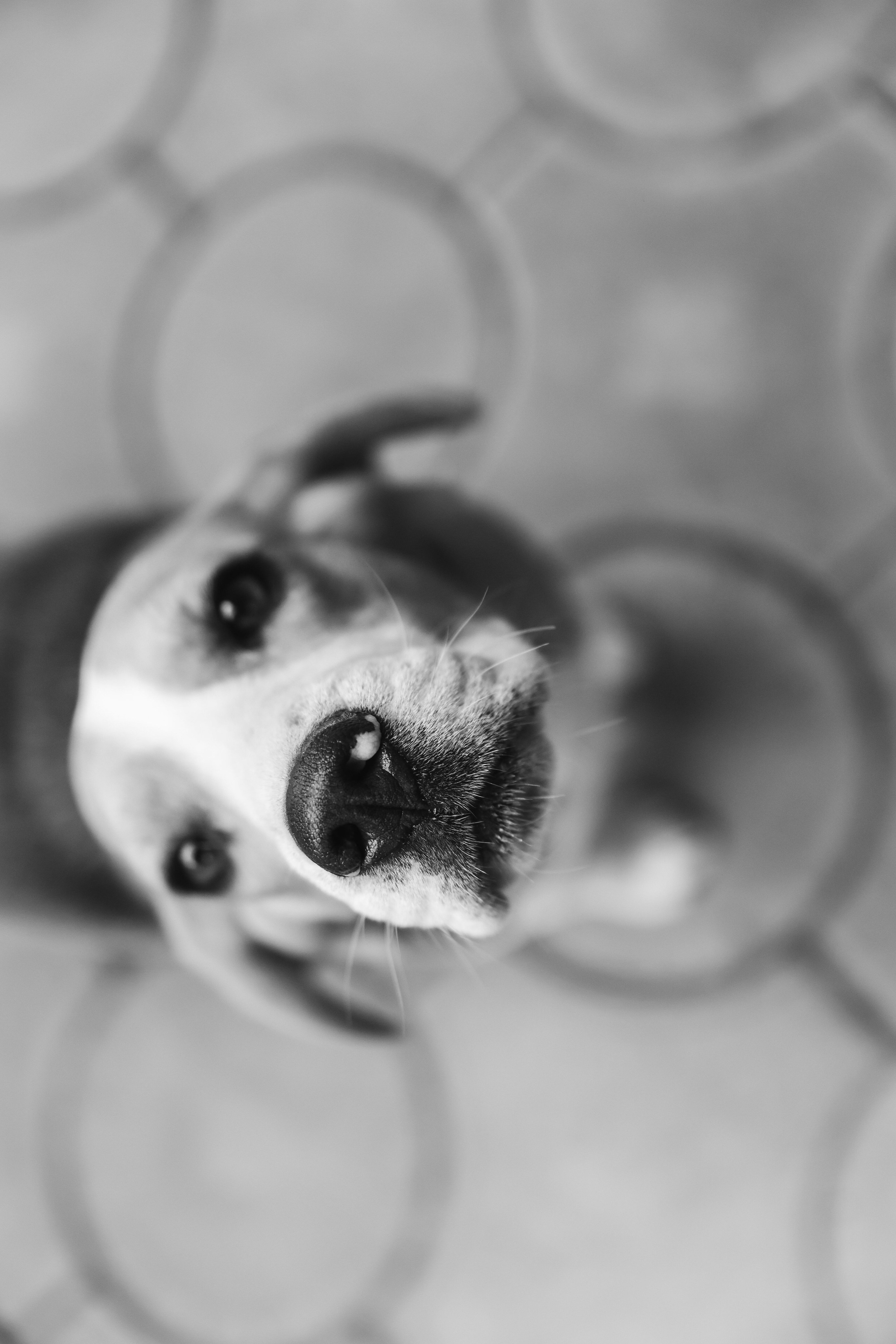 Анонс свадьба Кирилл и Мария. Свадебный и семейный фотограф в Севастополе и Крыму Анастасия Сураева