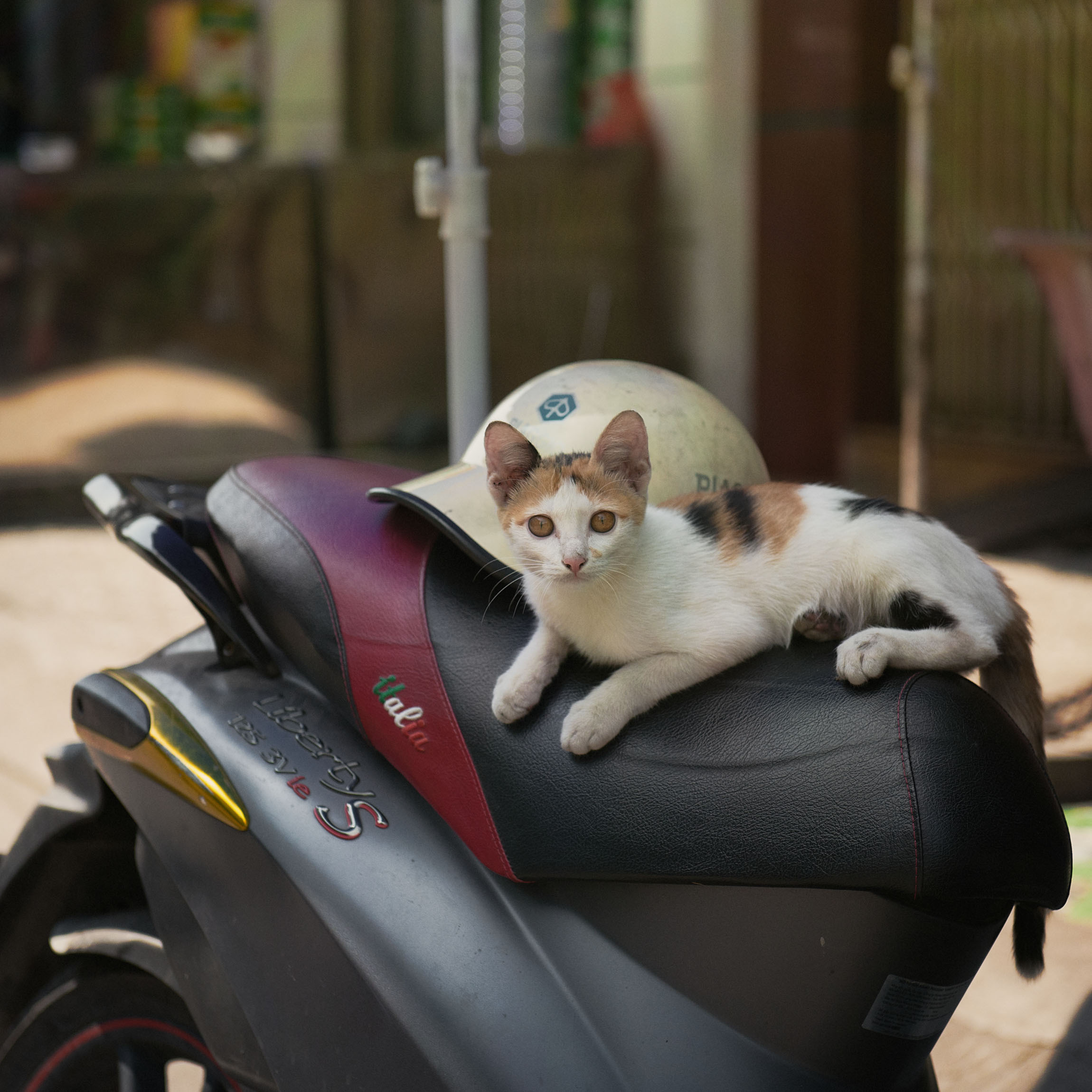 Фотопрогулка. Январь 2019. Юлия Розанова, коммерческий фоторепортаж в Москве