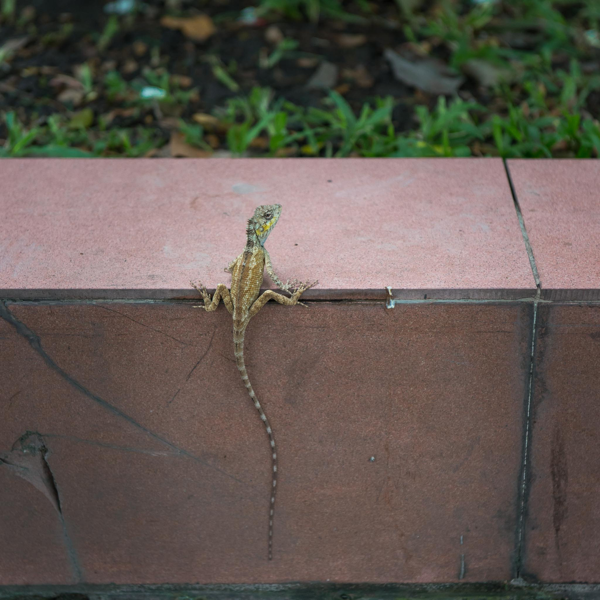 Фотопрогулка. Декабрь 2017. Юлия Розанова, коммерческий фоторепортаж в Москве