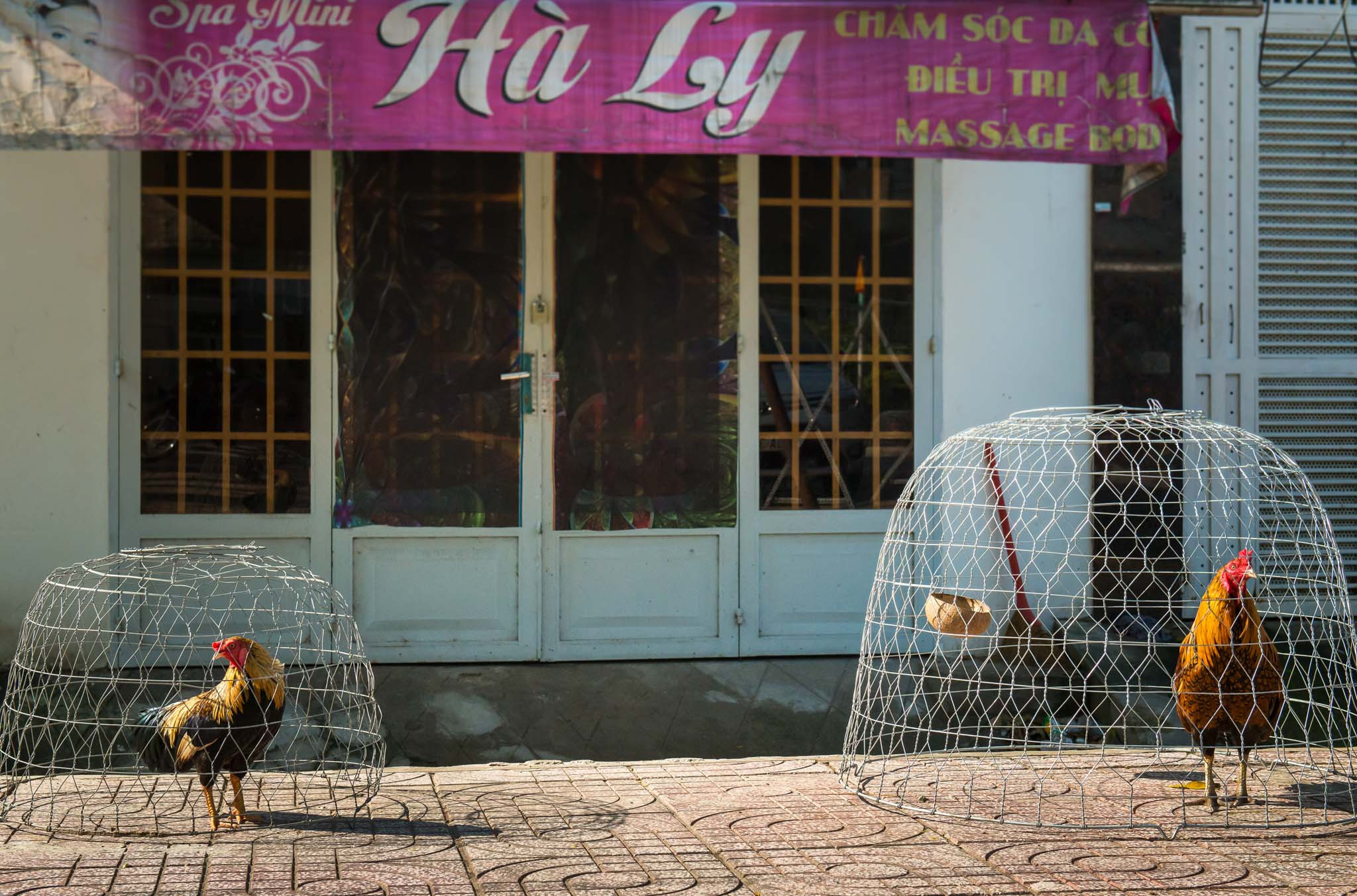 Фотопрогулка'17. Юлия Розанова, коммерческий фоторепортаж в Москве