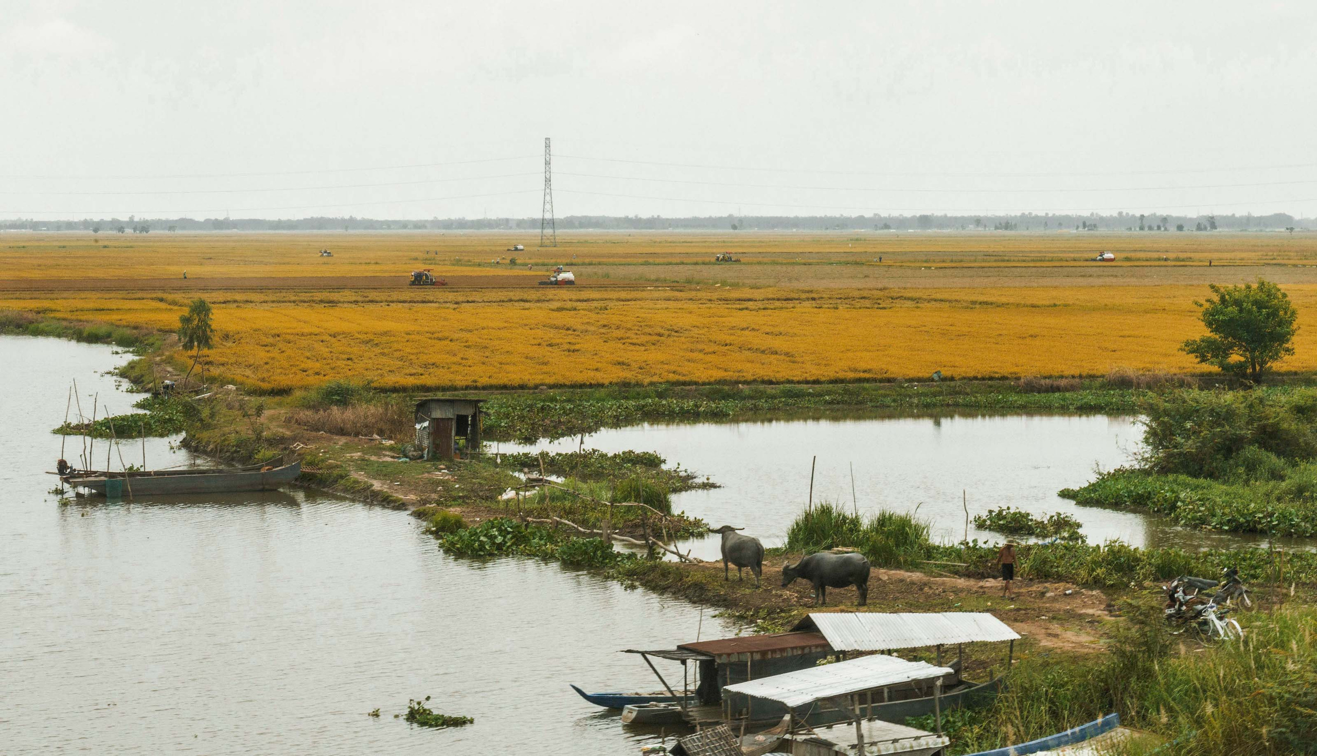 Тяудок. Март 2018. Юлия Розанова, коммерческий фоторепортаж в Москве