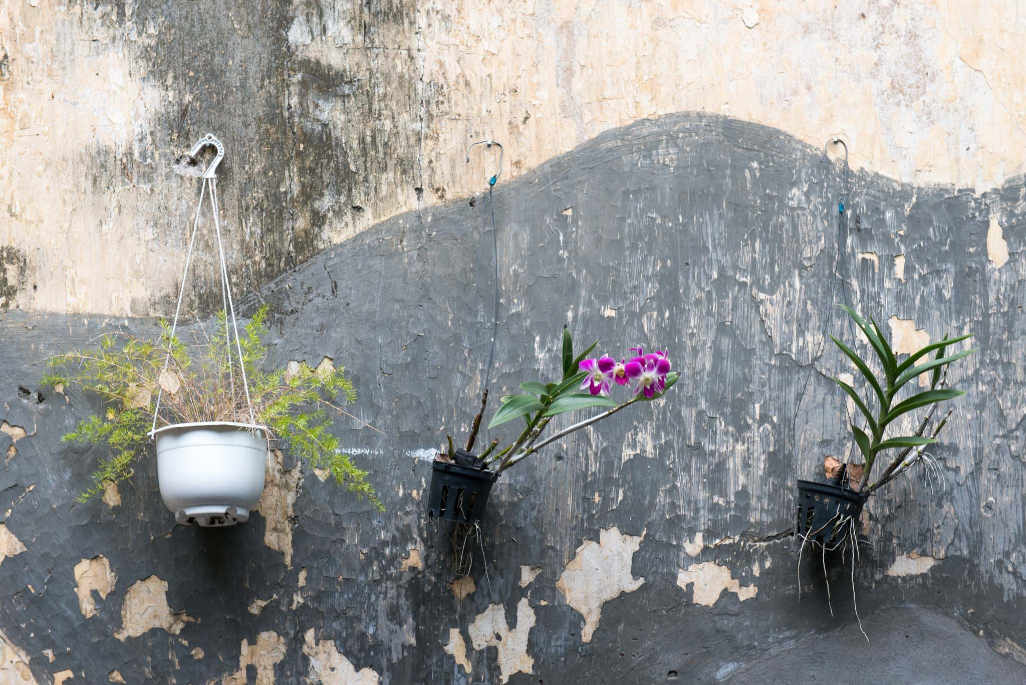 Фотопрогулка. Декабрь 2017. Юлия Розанова, коммерческий фоторепортаж в Москве