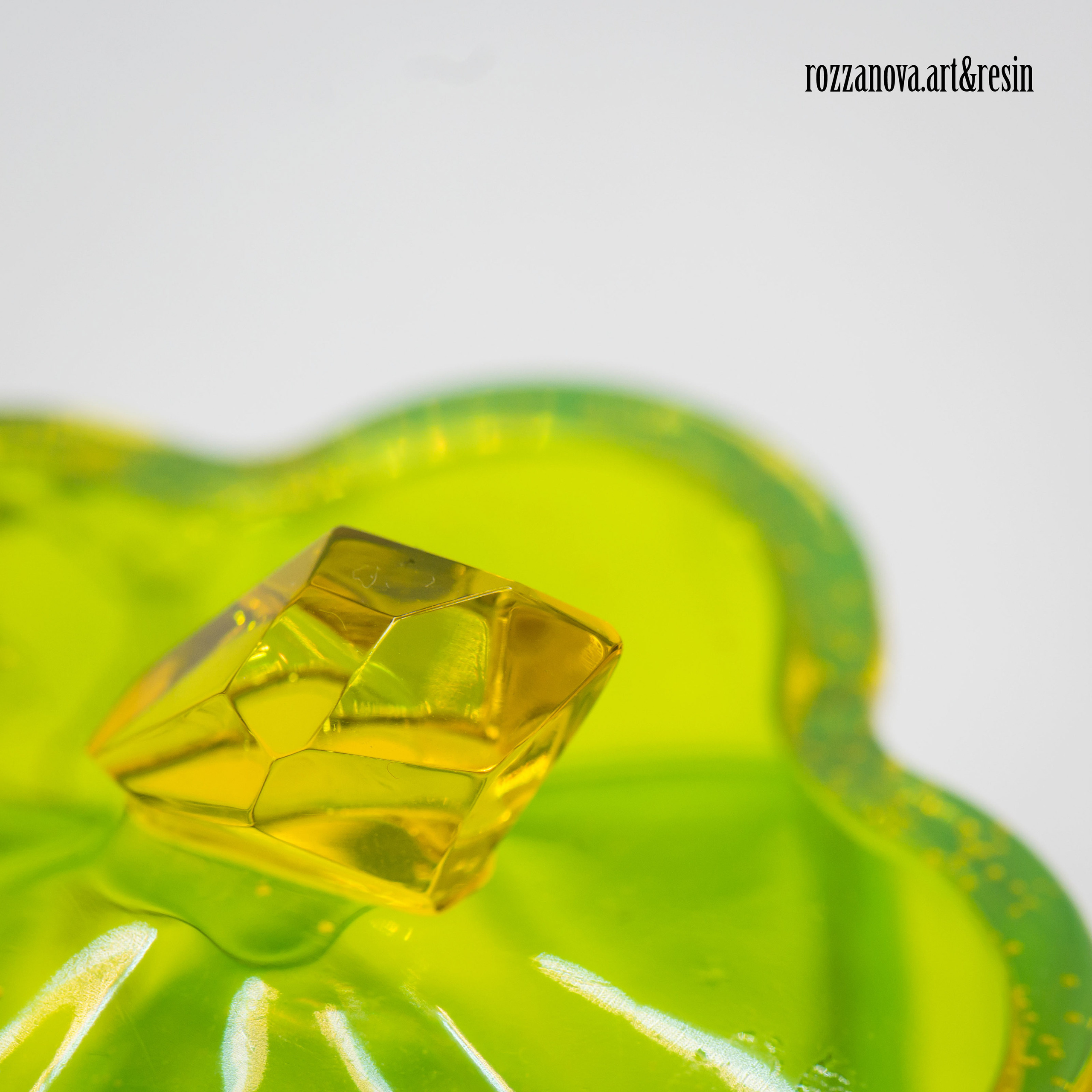 Resinart. Юлия Розанова, коммерческий фоторепортаж в Москве