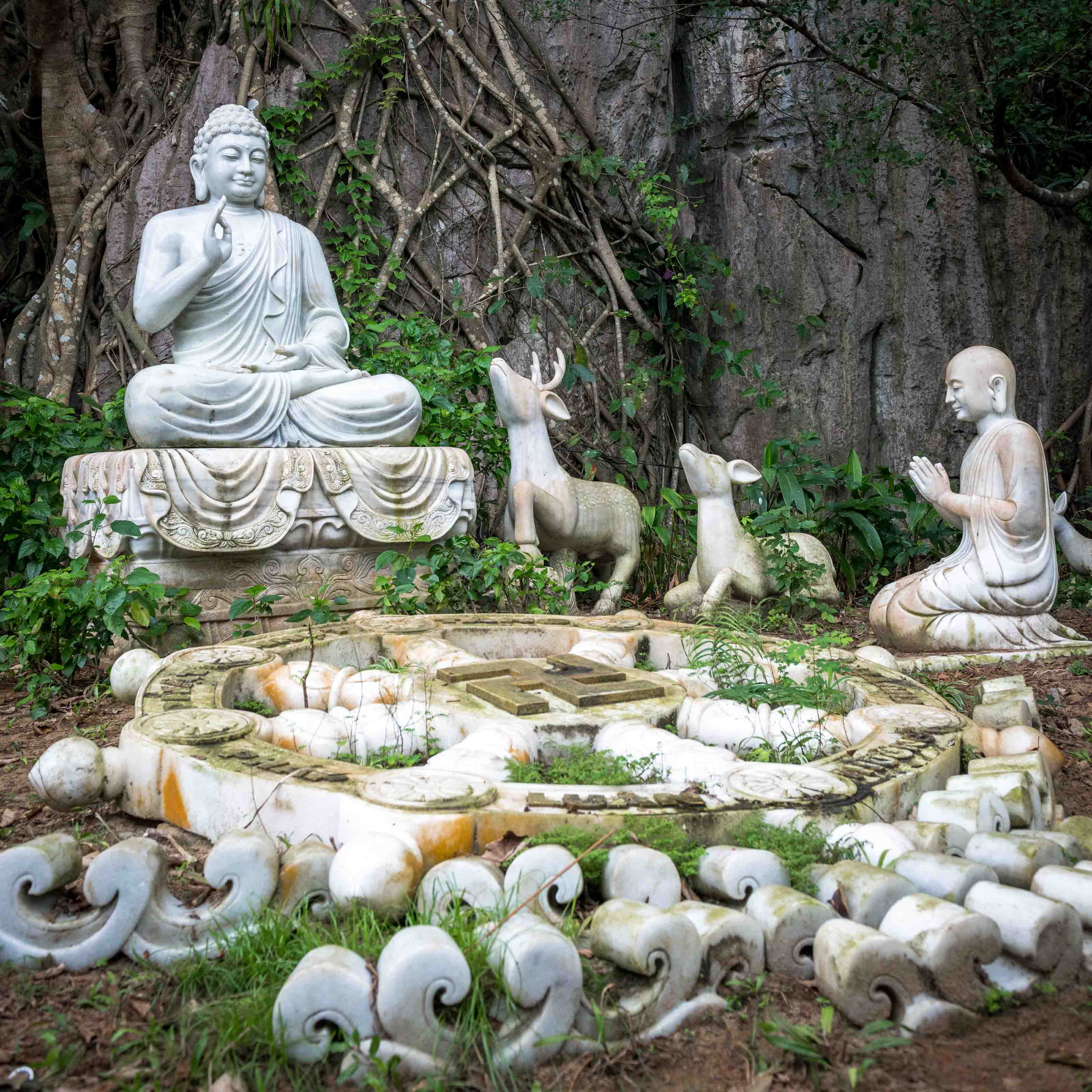 Хойан. Январь 2018. Юлия Розанова, коммерческий фоторепортаж в Москве