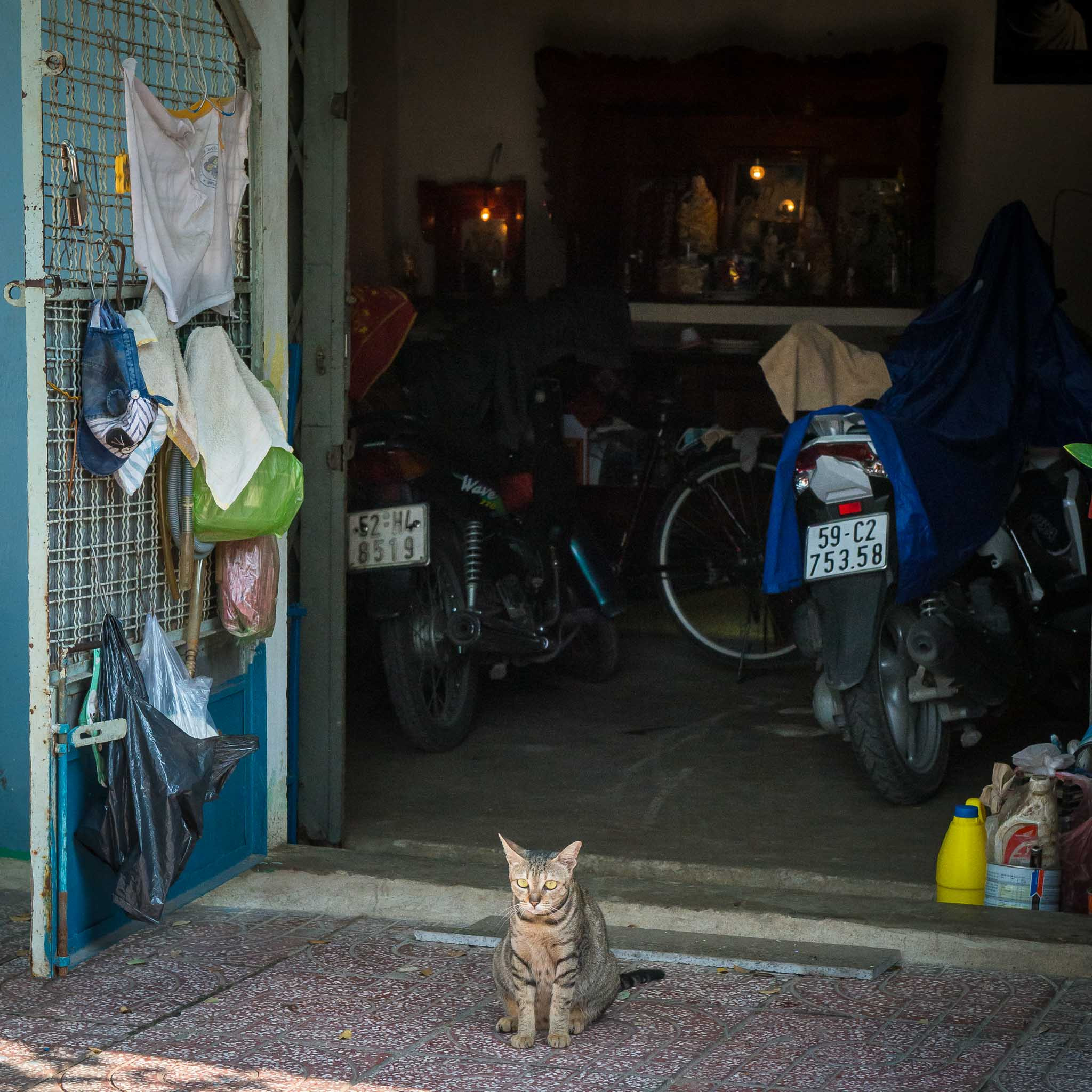Фотопрогулка. Ноябрь 2017. Юлия Розанова, коммерческий фоторепортаж в Москве