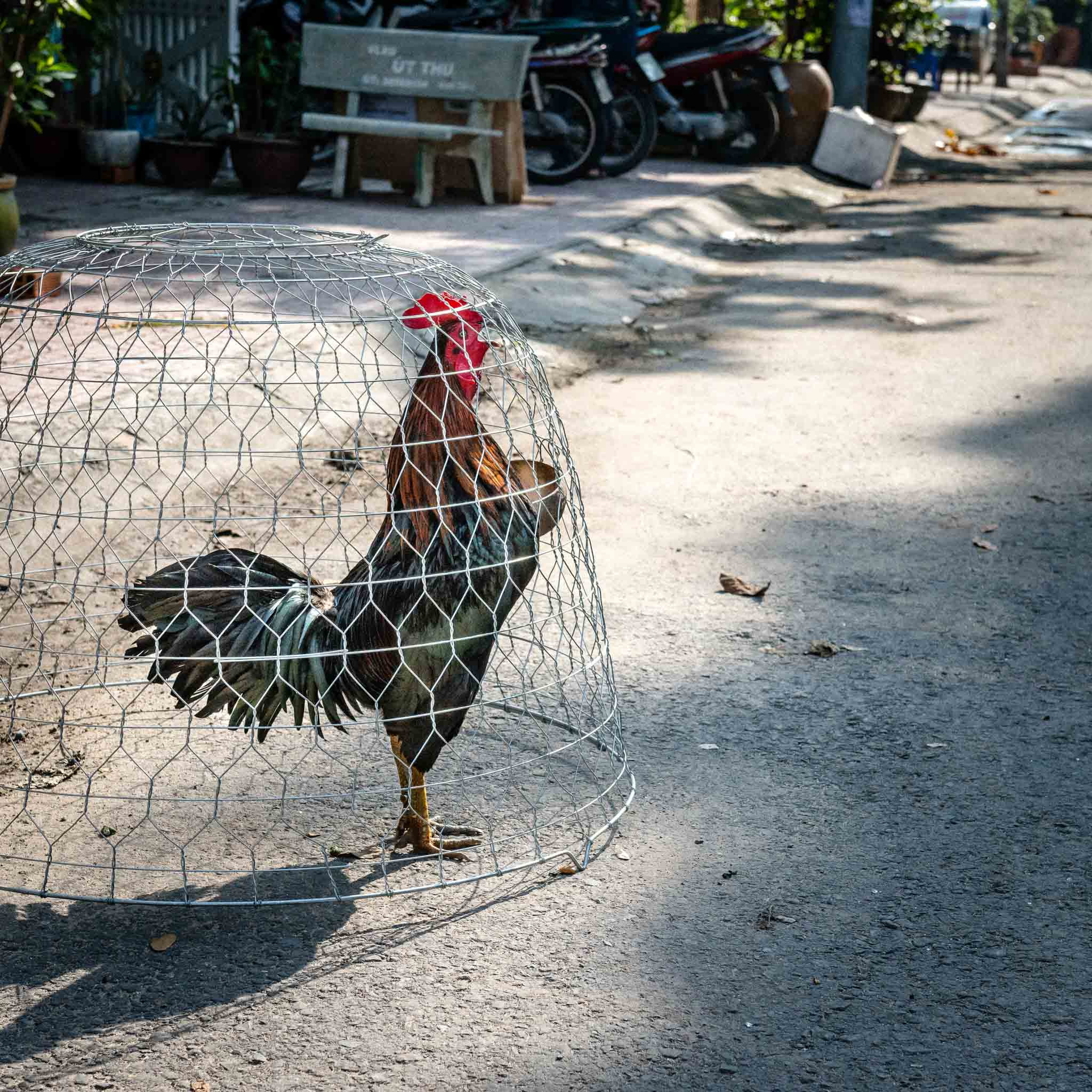 Фотопрогулка. Ноябрь 2017. Юлия Розанова, коммерческий фоторепортаж в Москве