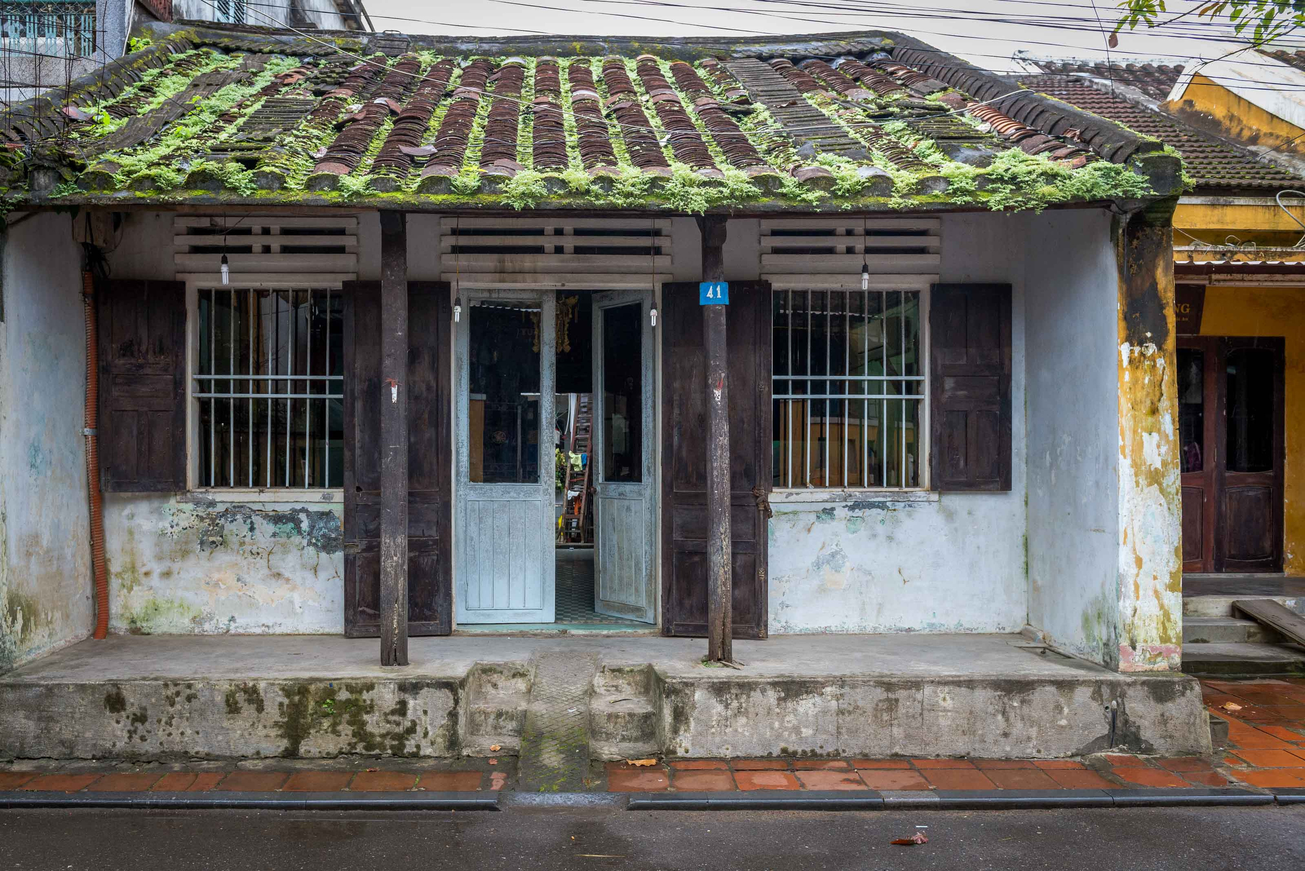 Хойан. Январь 2018. Юлия Розанова, коммерческий фоторепортаж в Москве