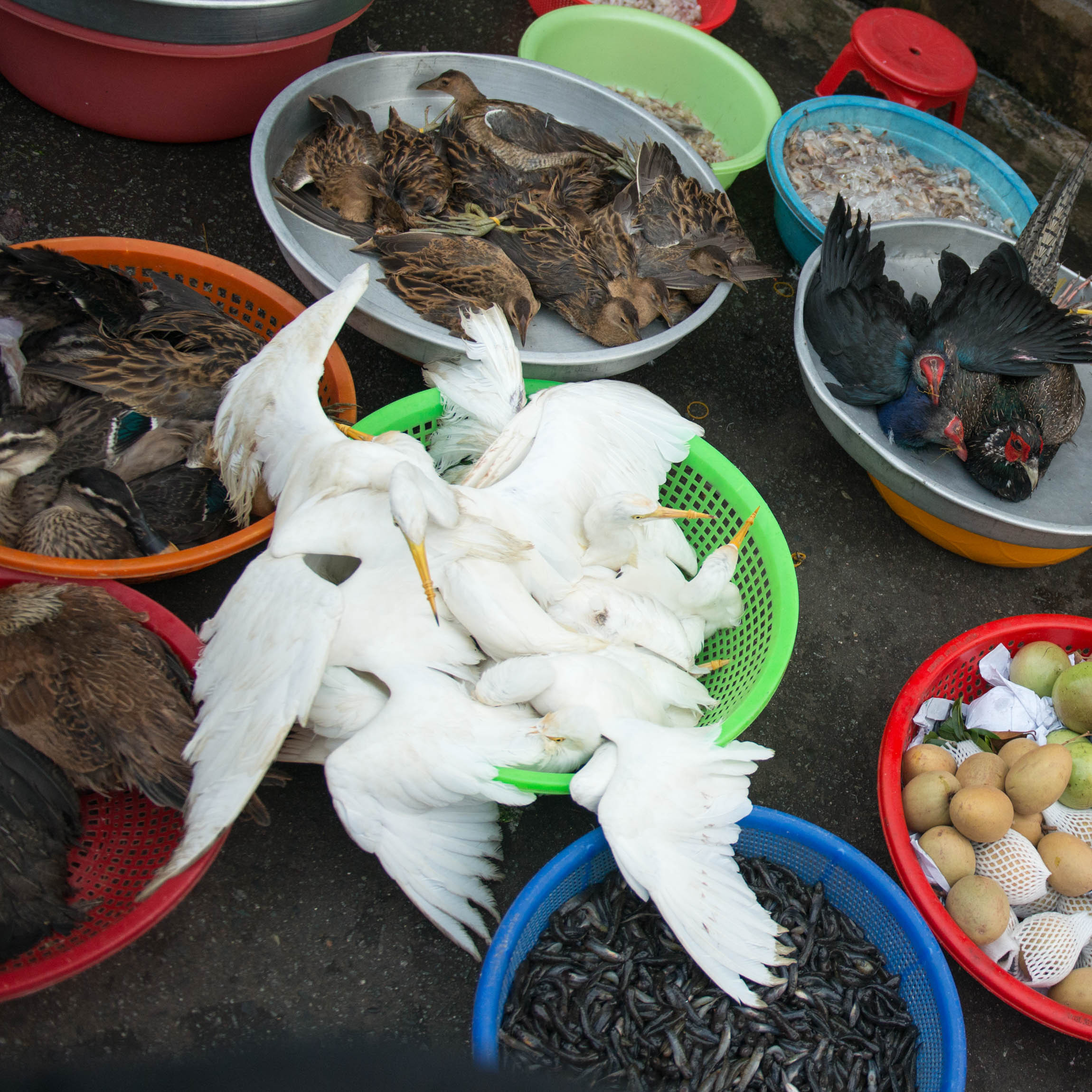 Фотопрогулка. Февраль 2019. Юлия Розанова, коммерческий фоторепортаж в Москве