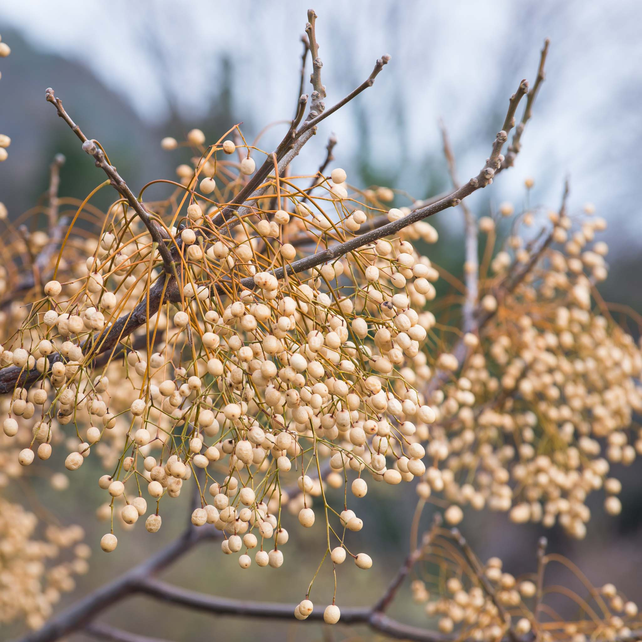 Симеиз-Ялта. Друзья. Юлия Розанова, коммерческий фоторепортаж в Москве