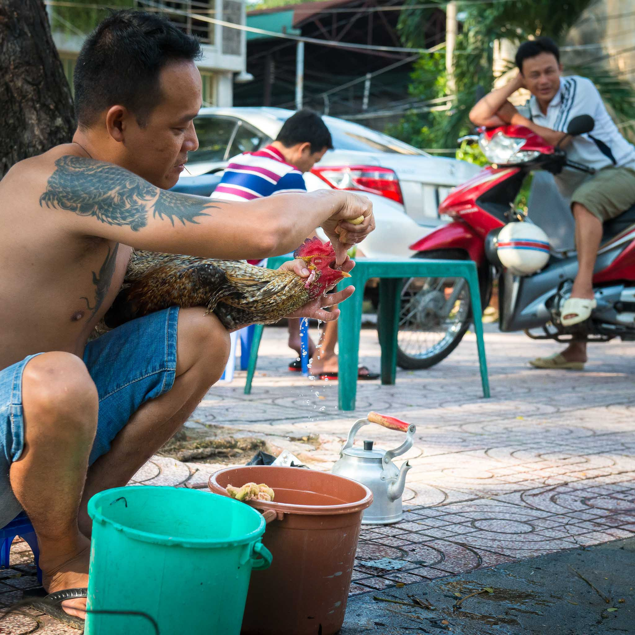 Фотопрогулка. Ноябрь 2017. Юлия Розанова, коммерческий фоторепортаж в Москве