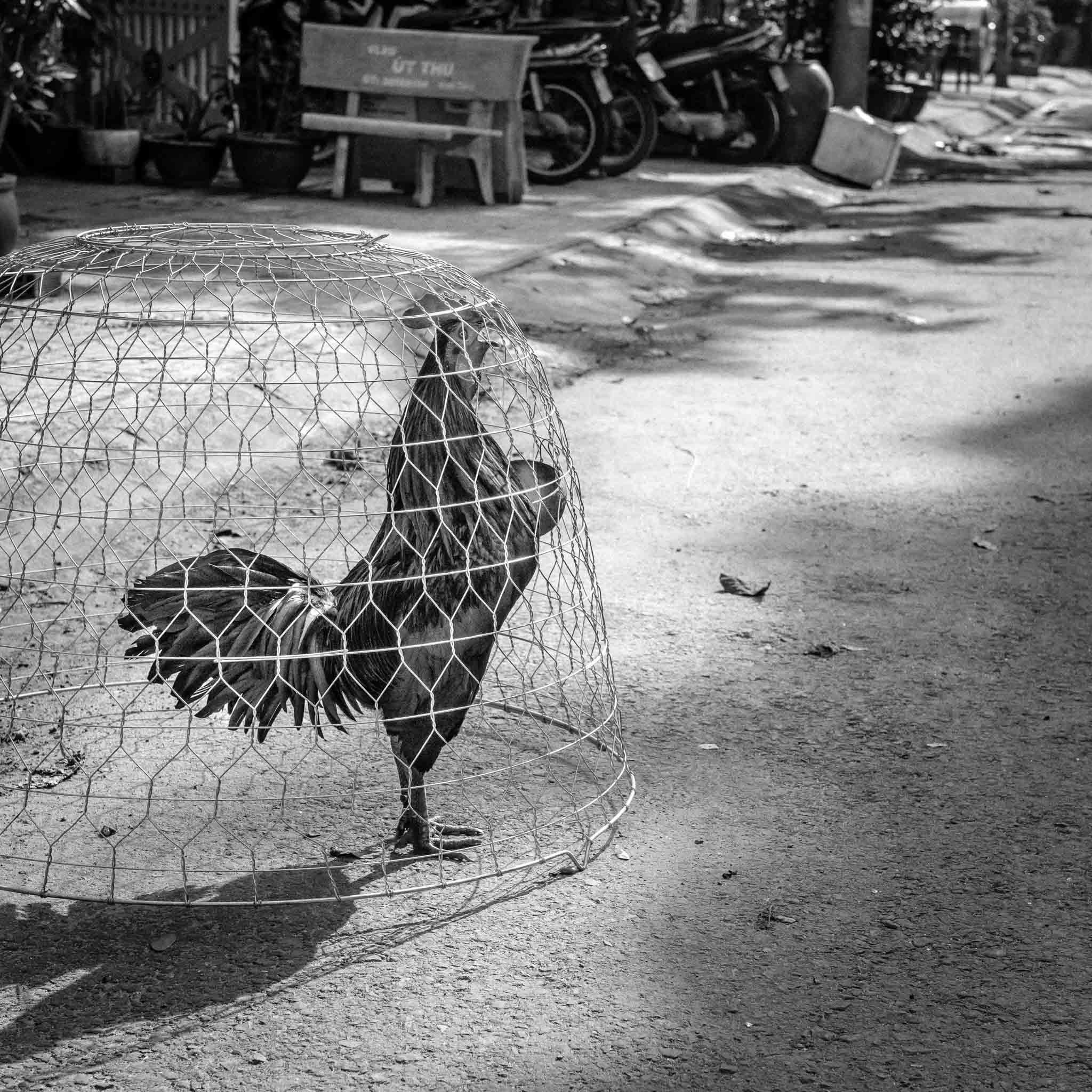 Фотопрогулка'17. Юлия Розанова, коммерческий фоторепортаж в Москве