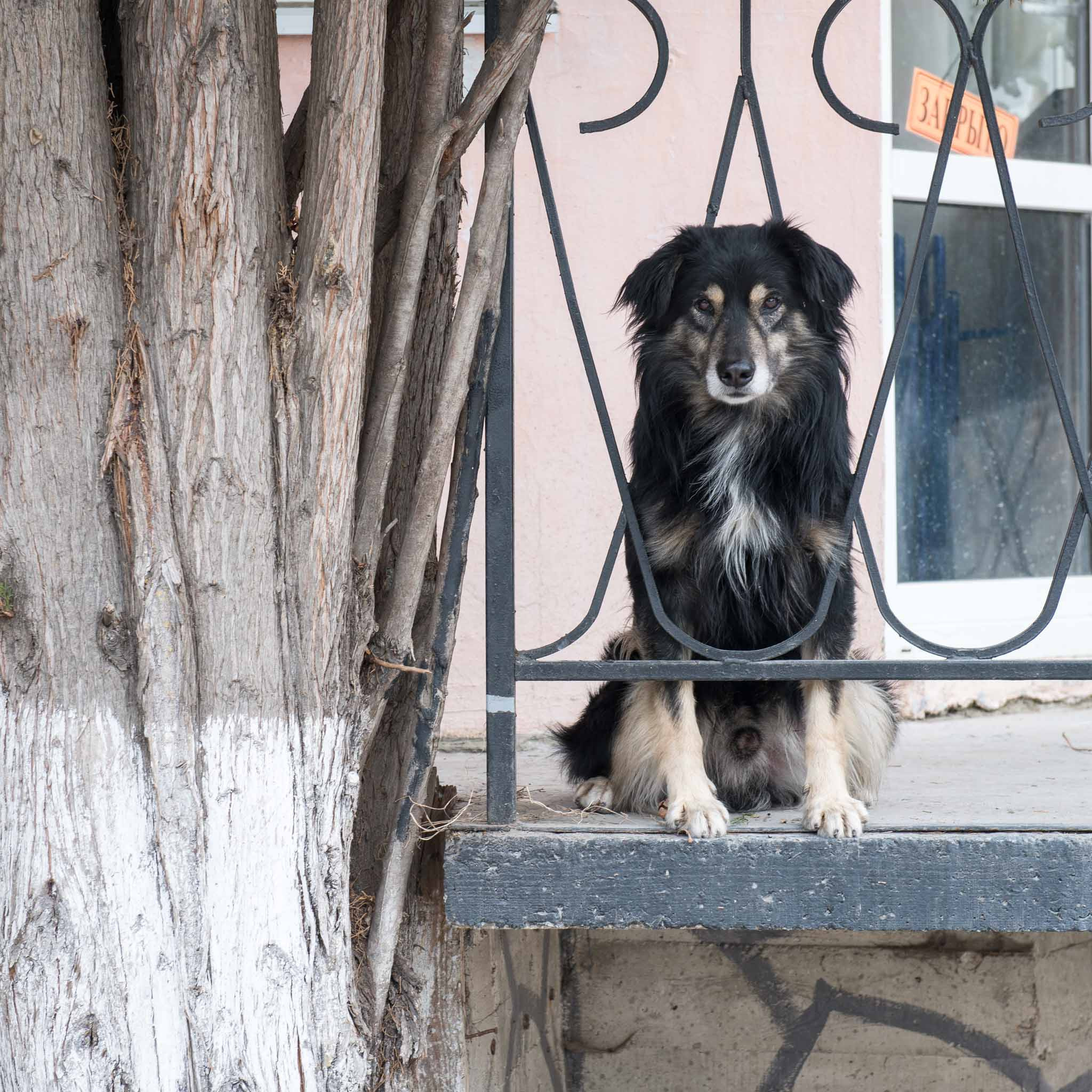 Симеиз-Ялта. Друзья. Юлия Розанова, коммерческий фоторепортаж в Москве