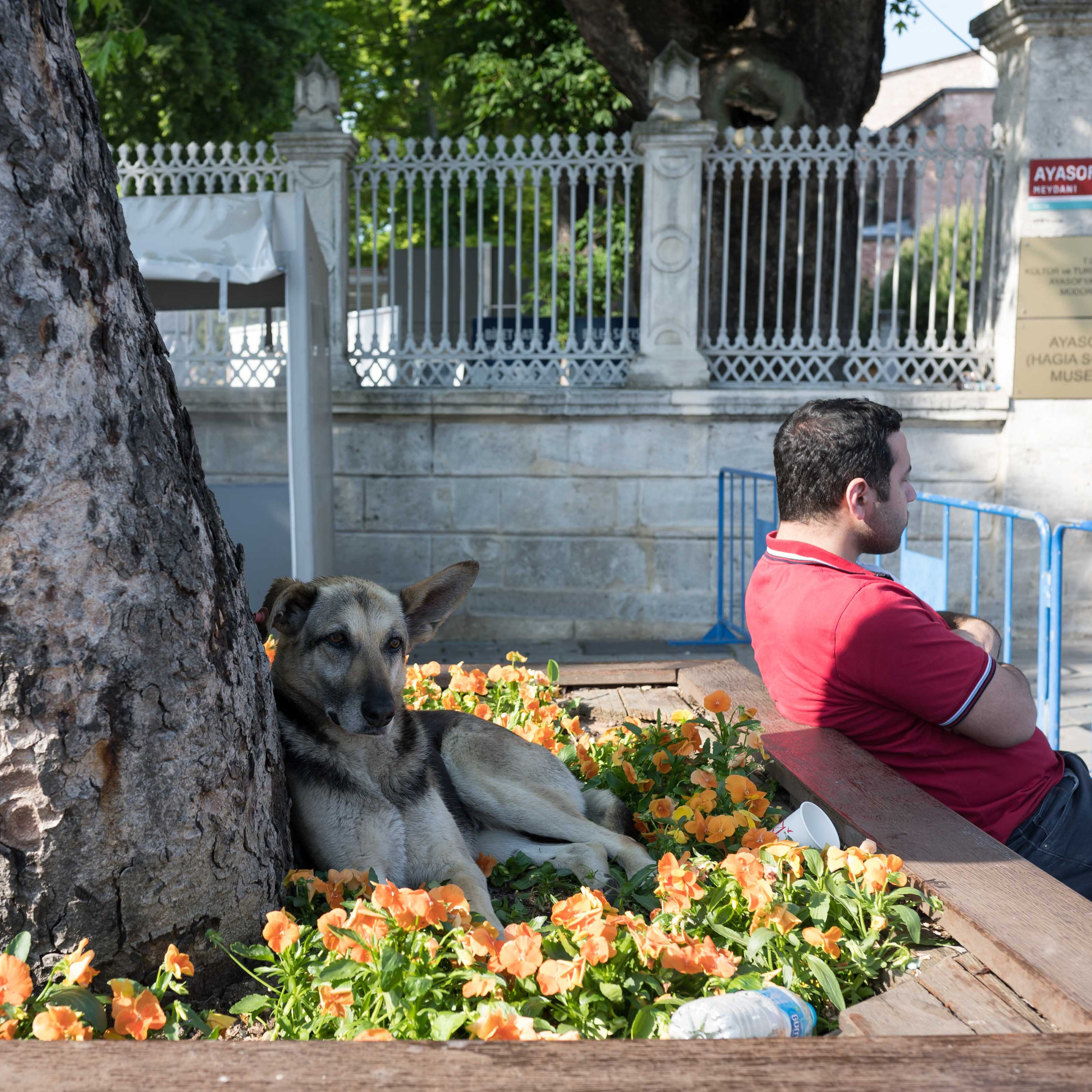 Турция '19. Юлия Розанова, коммерческий фоторепортаж в Москве