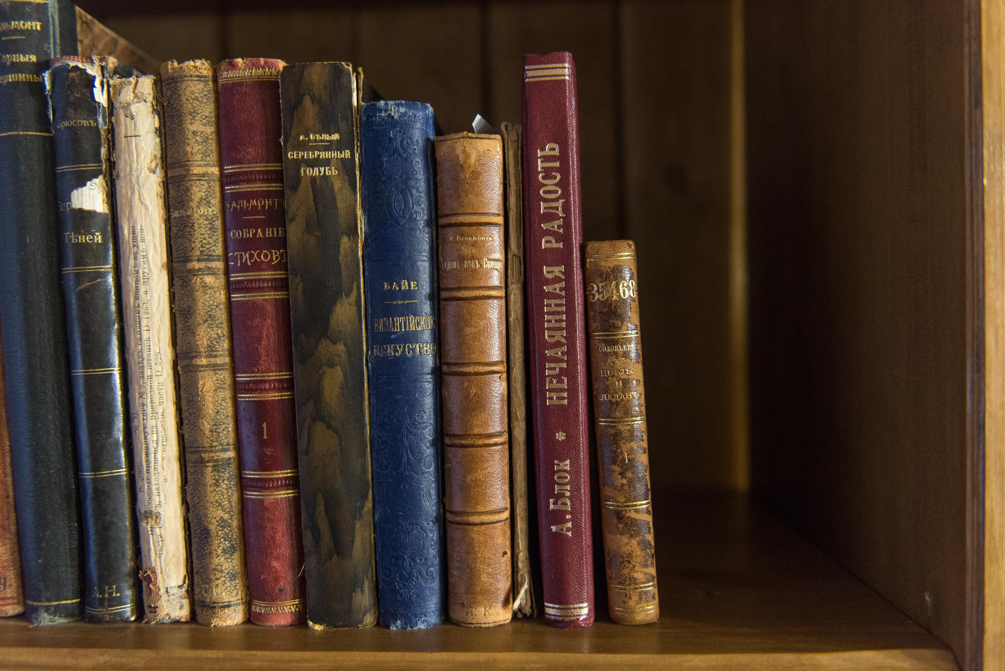 Московская обл. Шахматово. Юлия Розанова, коммерческий фоторепортаж в Москве