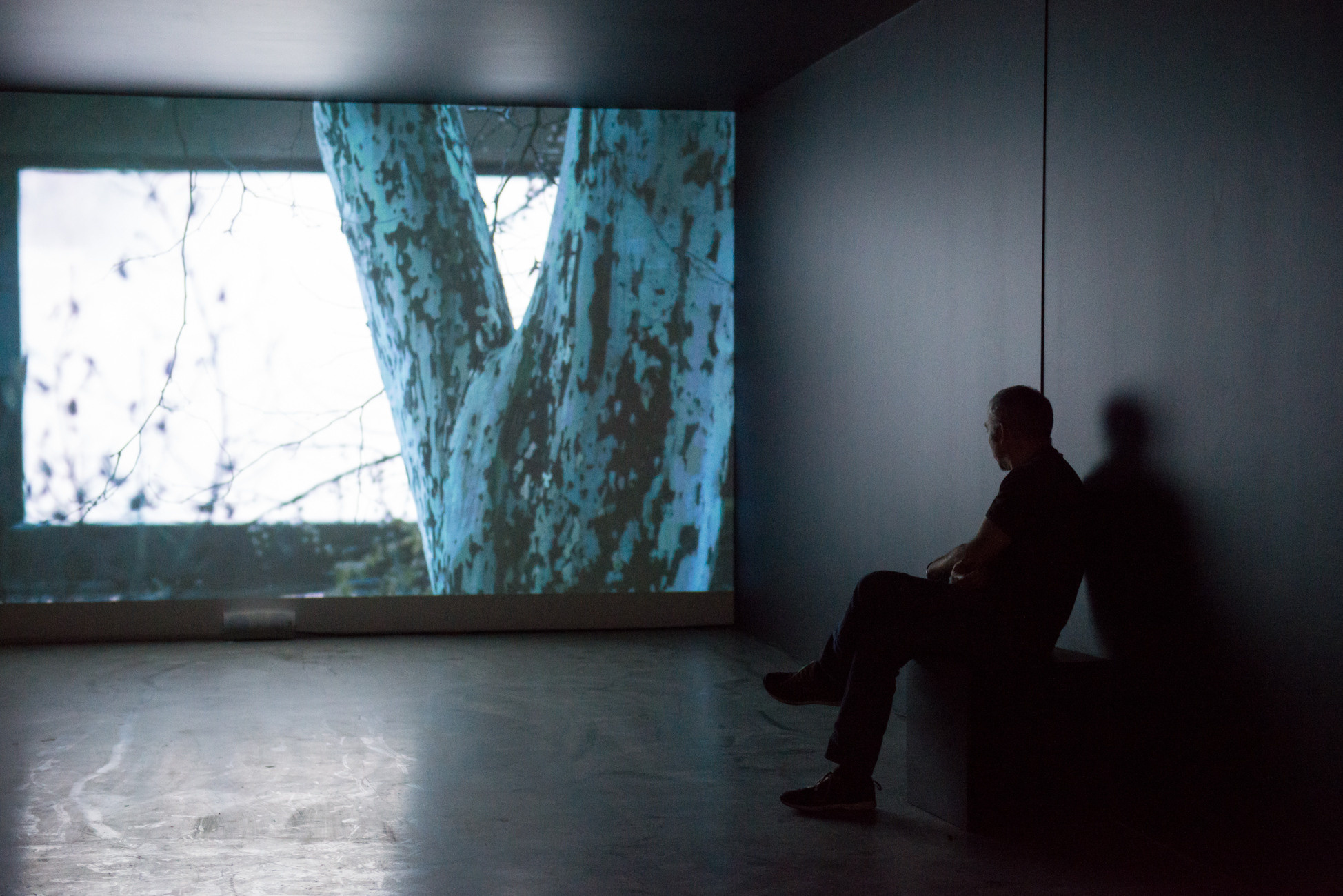 NCCA. Юлия Розанова, коммерческий фоторепортаж в Москве