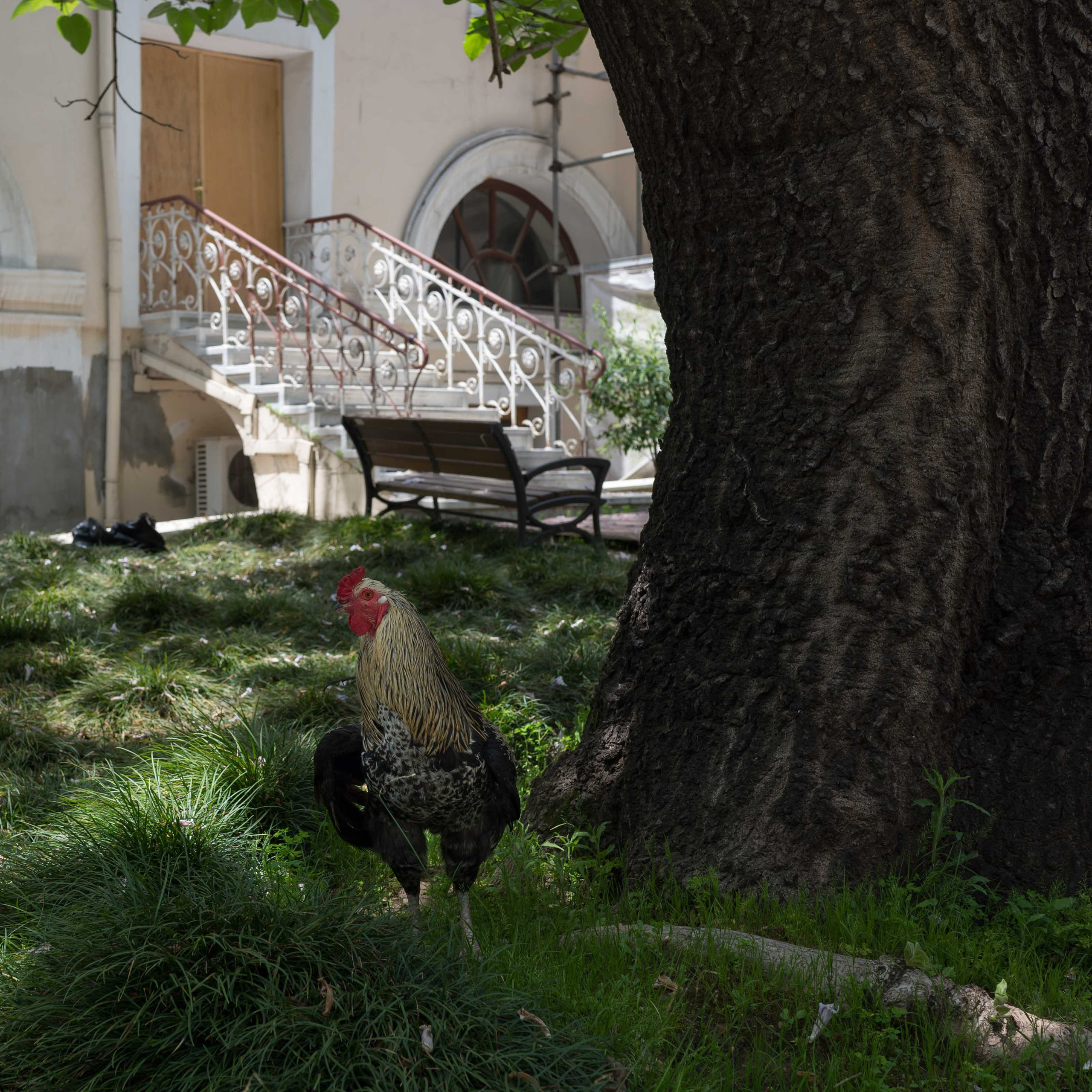 Турция '19. Юлия Розанова, коммерческий фоторепортаж в Москве