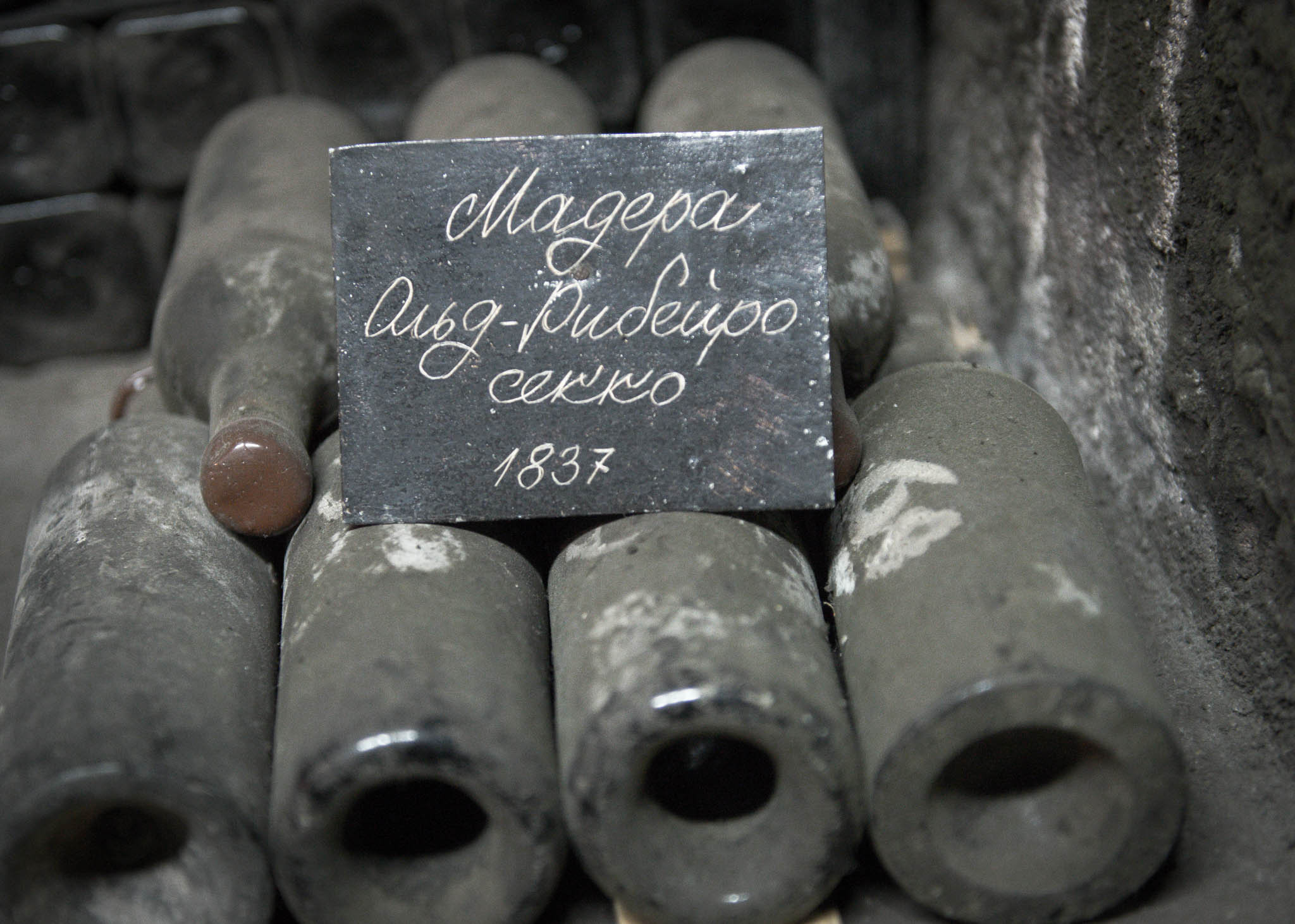 Массандра. Винодельческий комбинат. Юлия Розанова, коммерческий фоторепортаж в Москве