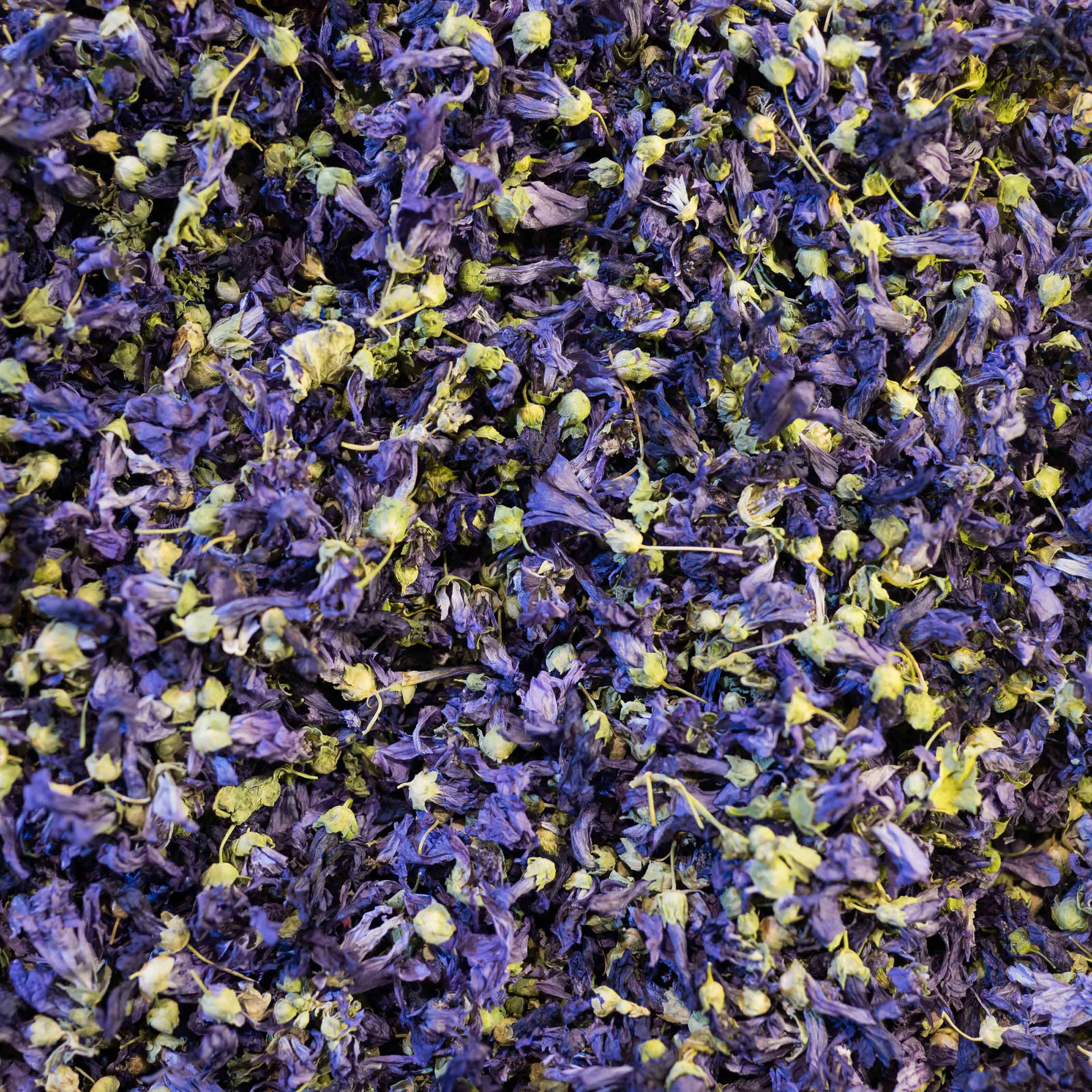 Турция '19. Юлия Розанова, коммерческий фоторепортаж в Москве