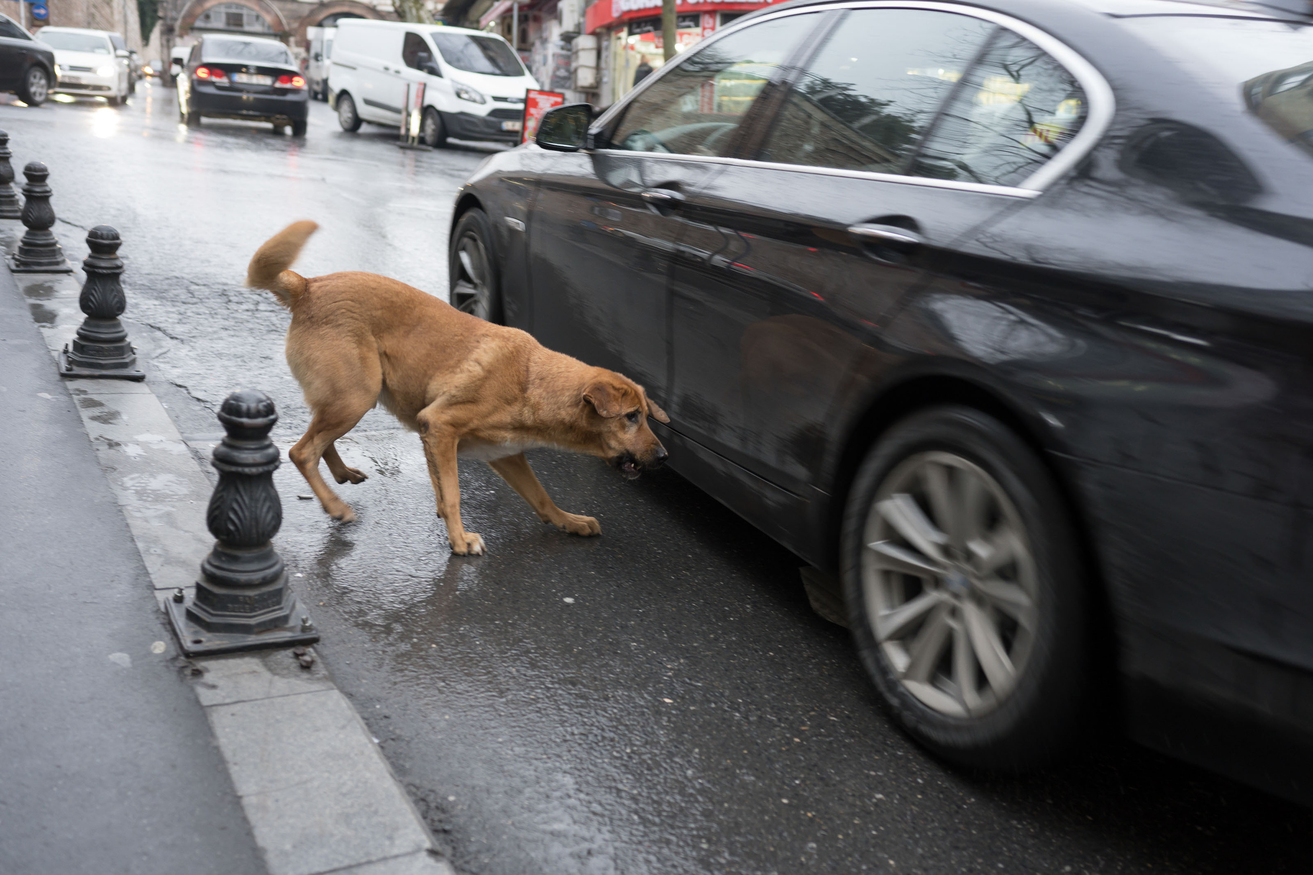 Стамбул '20. Юлия Розанова, коммерческий фоторепортаж в Москве