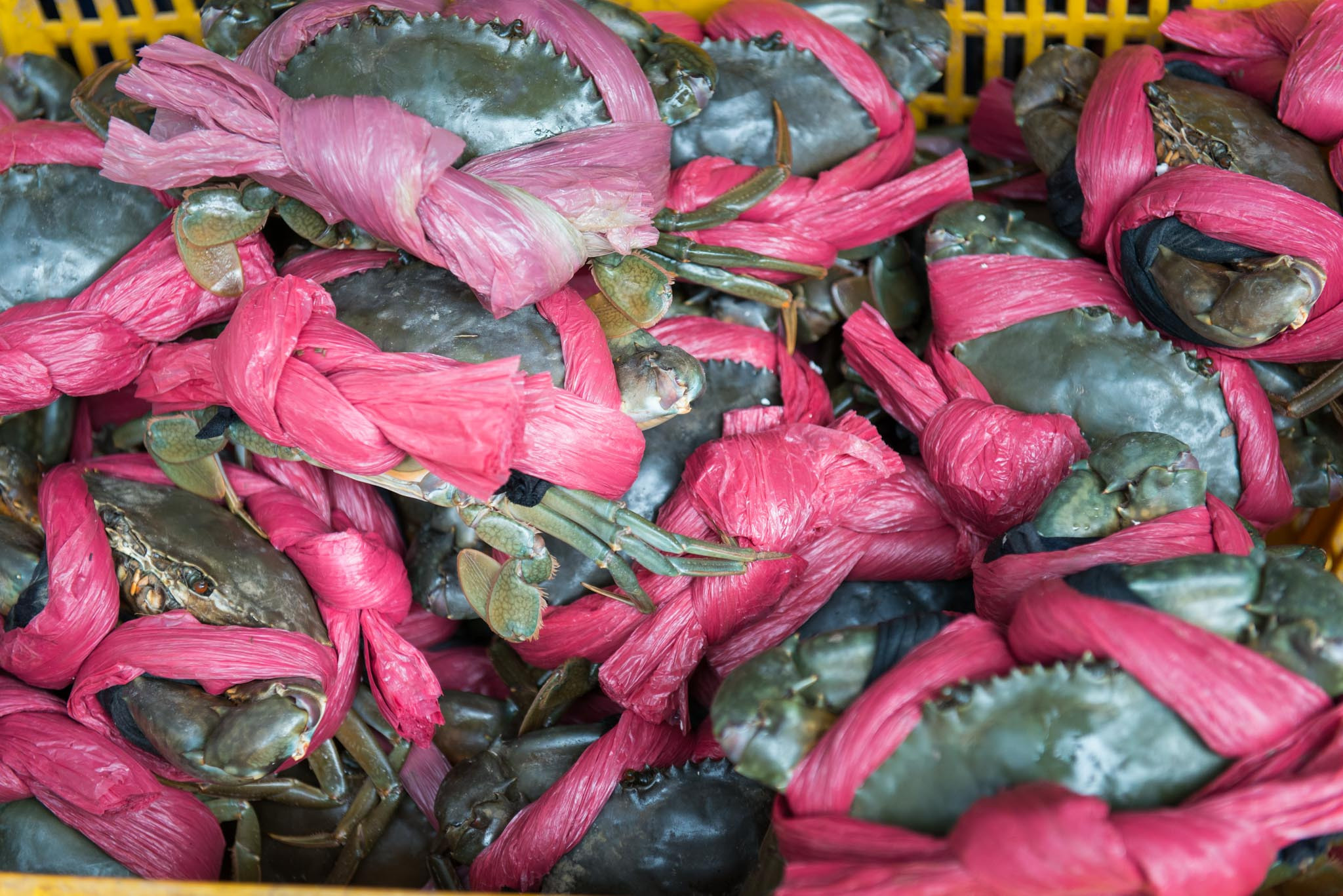 Фотопрогулка. Декабрь 2017. Юлия Розанова, коммерческий фоторепортаж в Москве