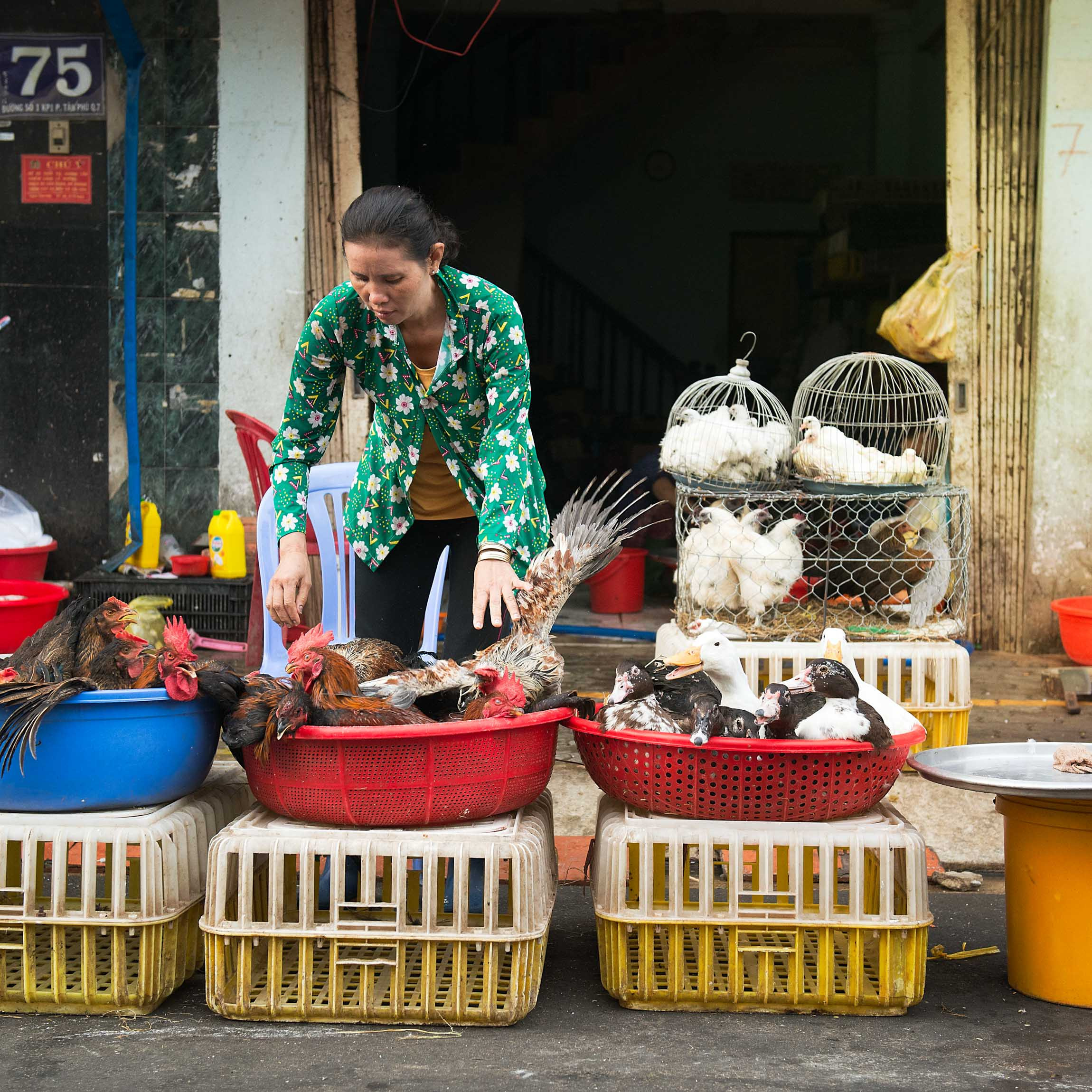 Фотопрогулка. Февраль 2019. Юлия Розанова, коммерческий фоторепортаж в Москве