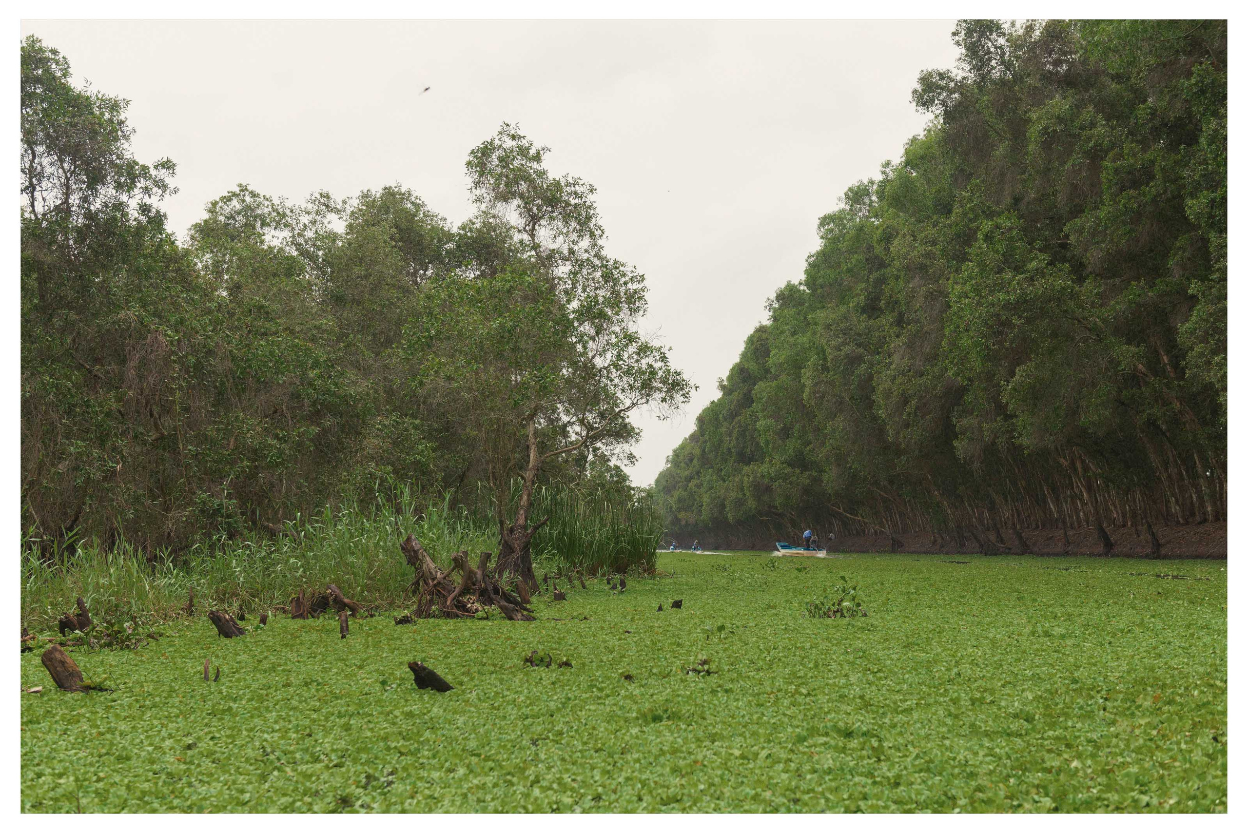 Тяудок. Март 2018. Юлия Розанова, коммерческий фоторепортаж в Москве
