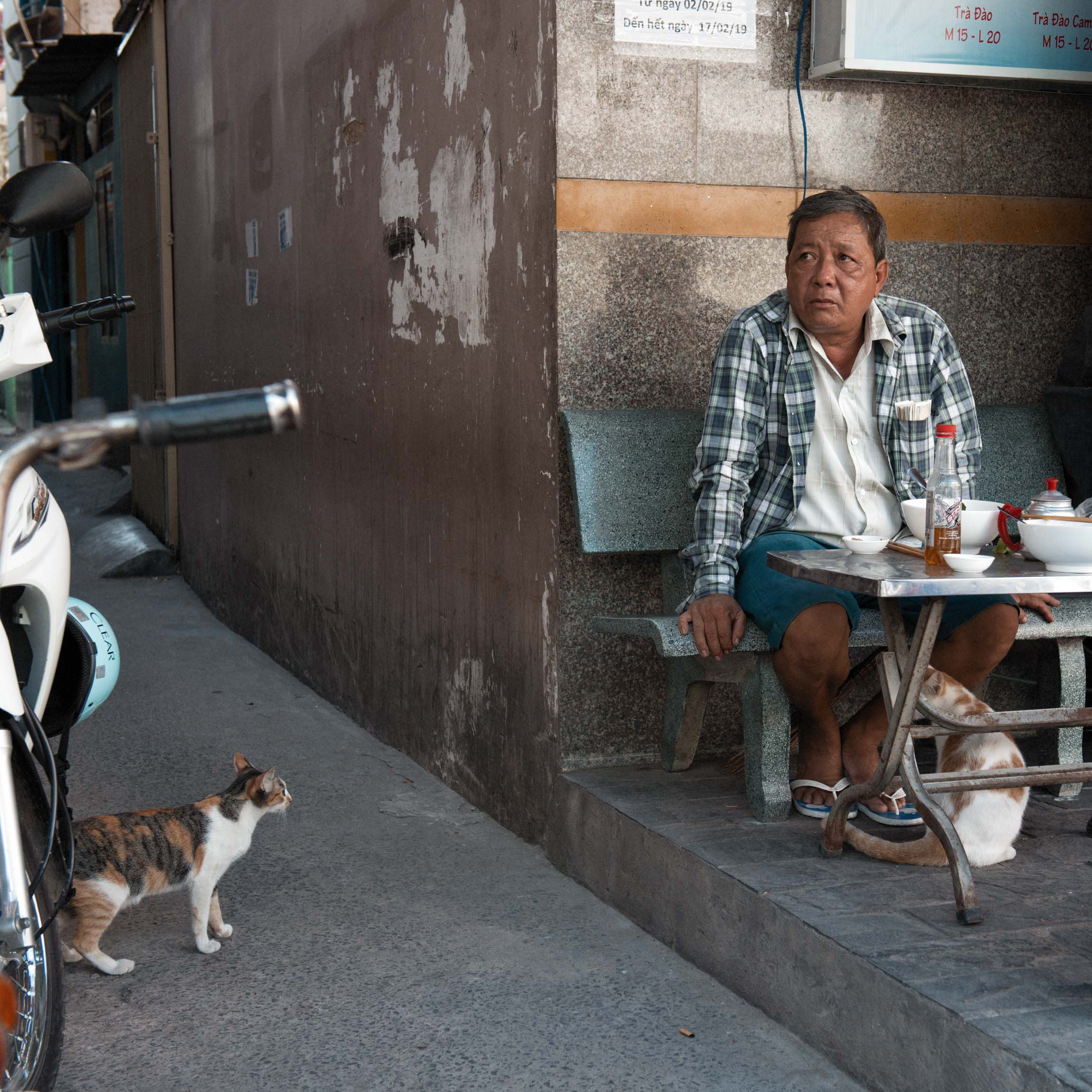 Фотопрогулка. Февраль 2019. Юлия Розанова, коммерческий фоторепортаж в Москве