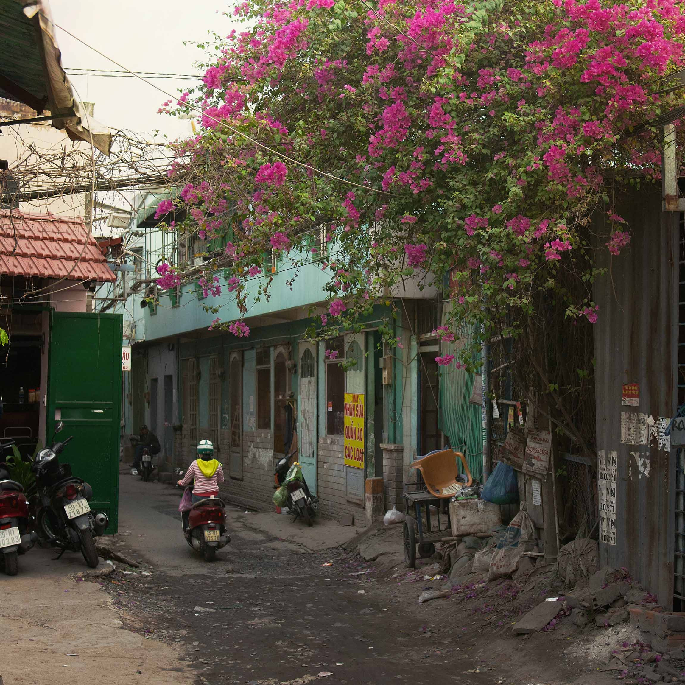 Фотопрогулка. Январь 2019. Юлия Розанова, коммерческий фоторепортаж в Москве