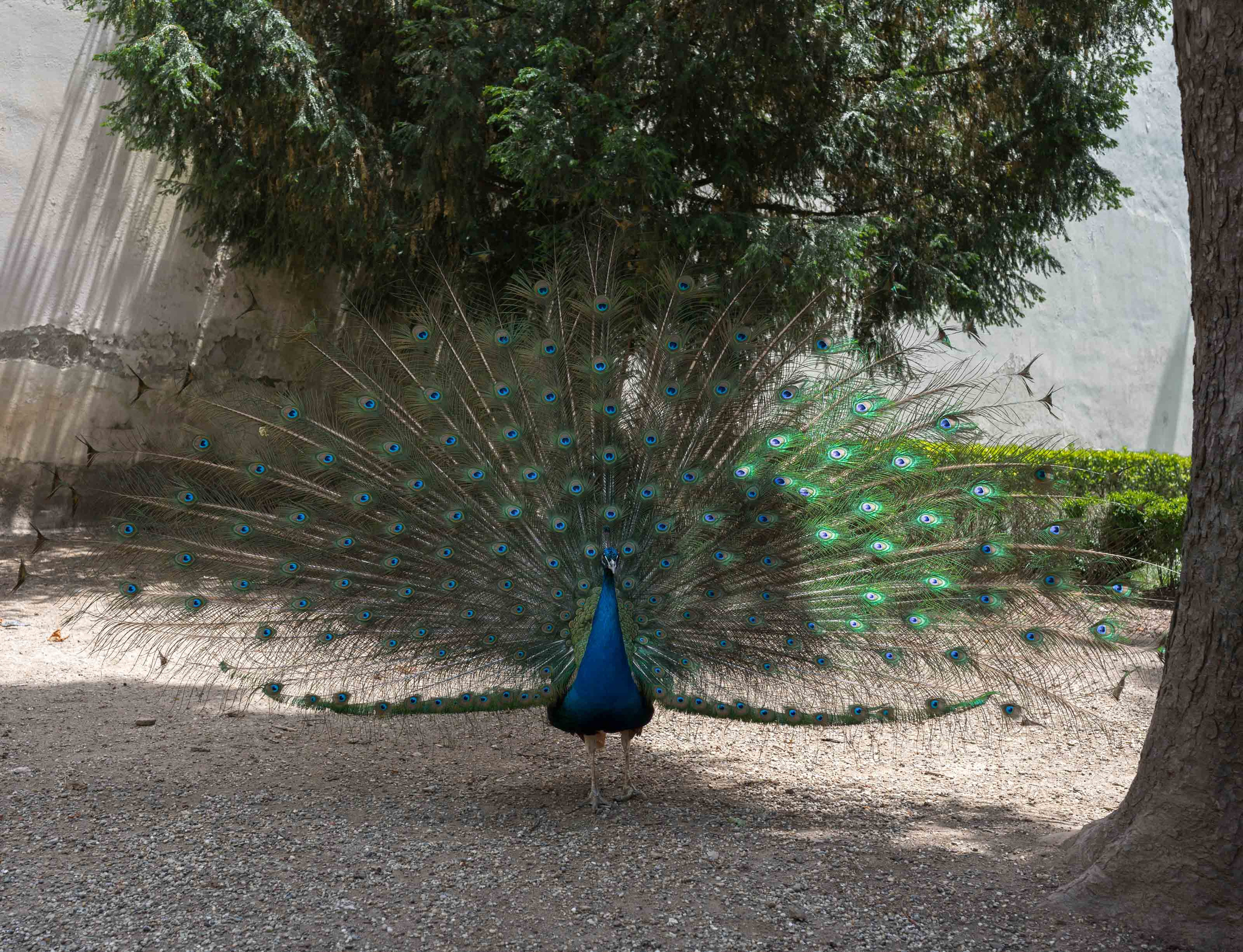 Турция '19. Юлия Розанова, коммерческий фоторепортаж в Москве