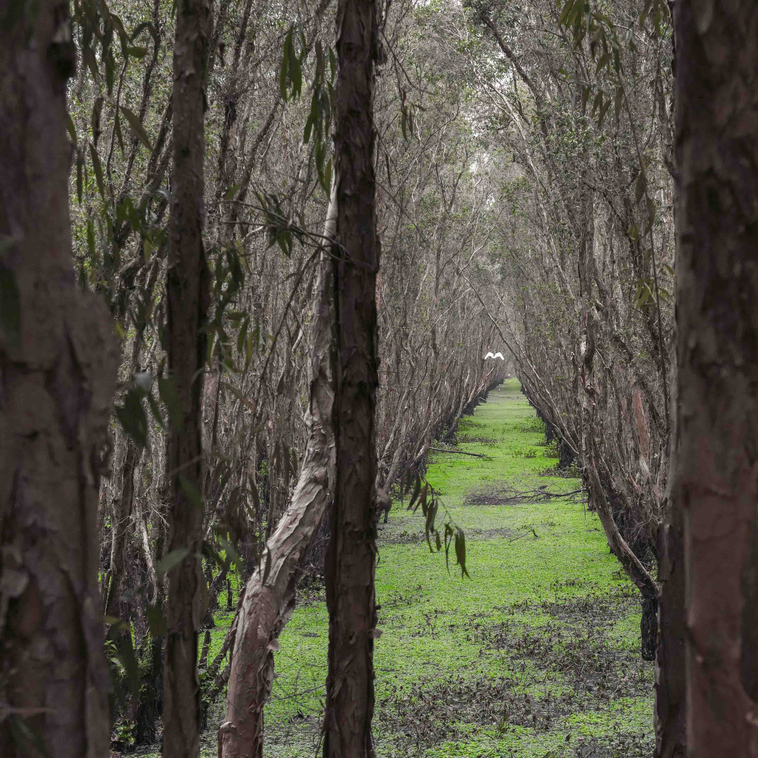 Тяудок. Март 2018. Юлия Розанова, коммерческий фоторепортаж в Москве